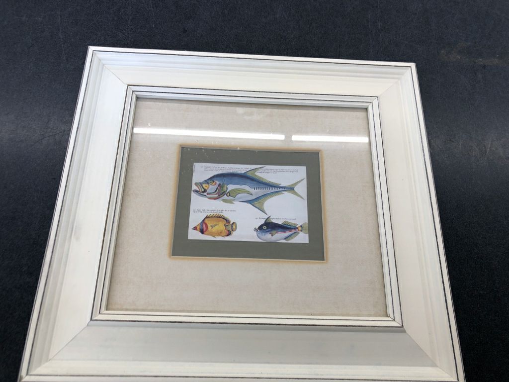 FISH IN CREAM FRAME WALL ART.