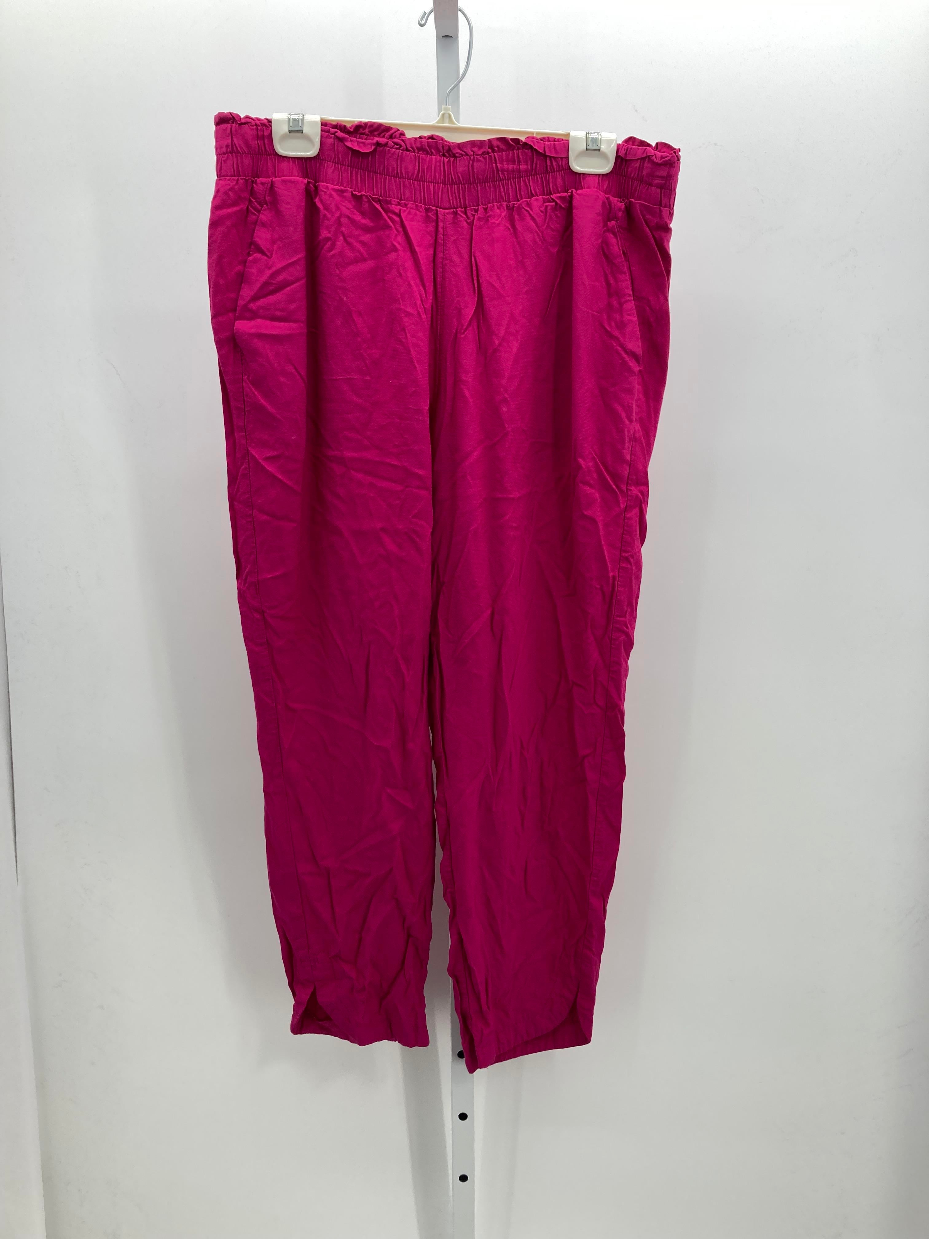 A New Day Size Extra Large Misses Pants