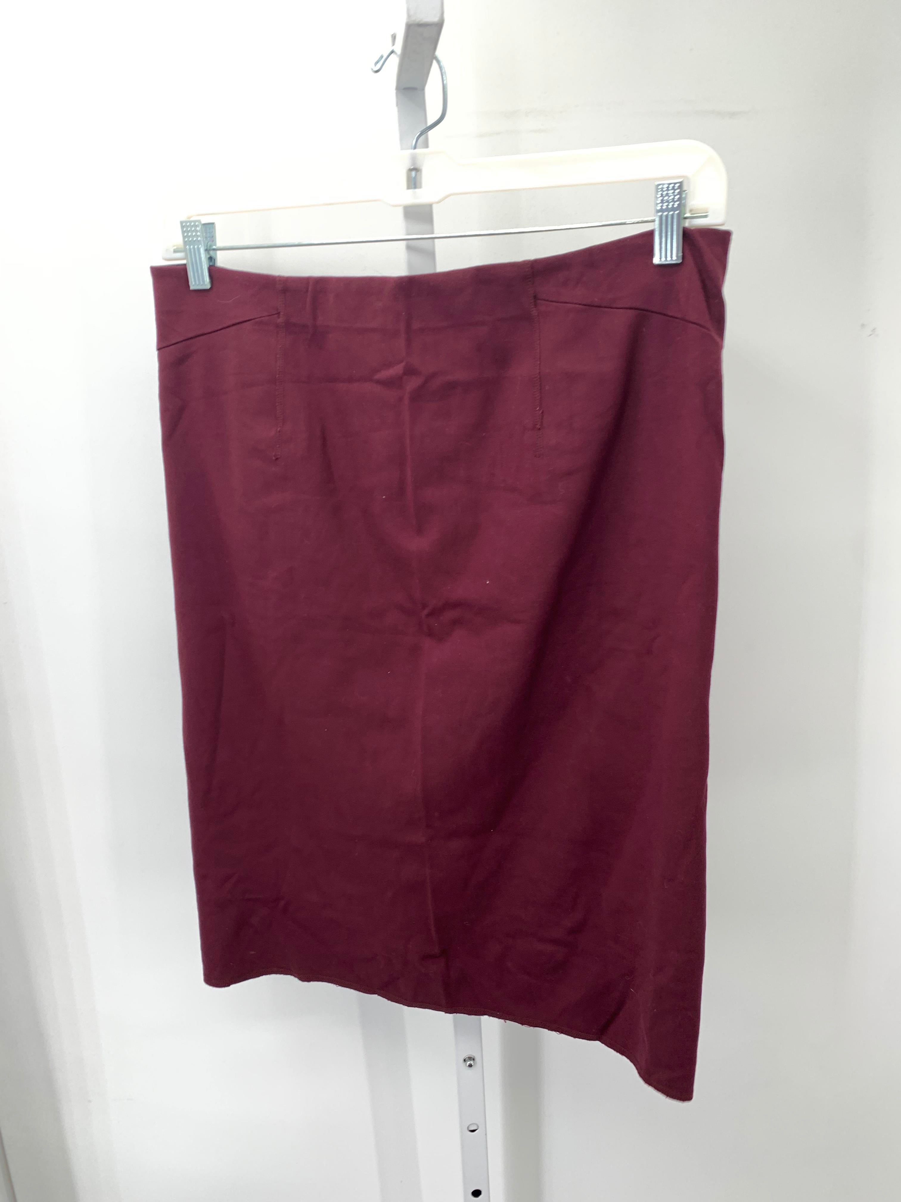 Ann Taylor Size 14 Misses Skirt