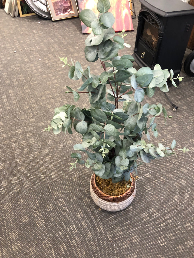 WOVEN PLANTER W/ FAUX EUCALYPTUS.