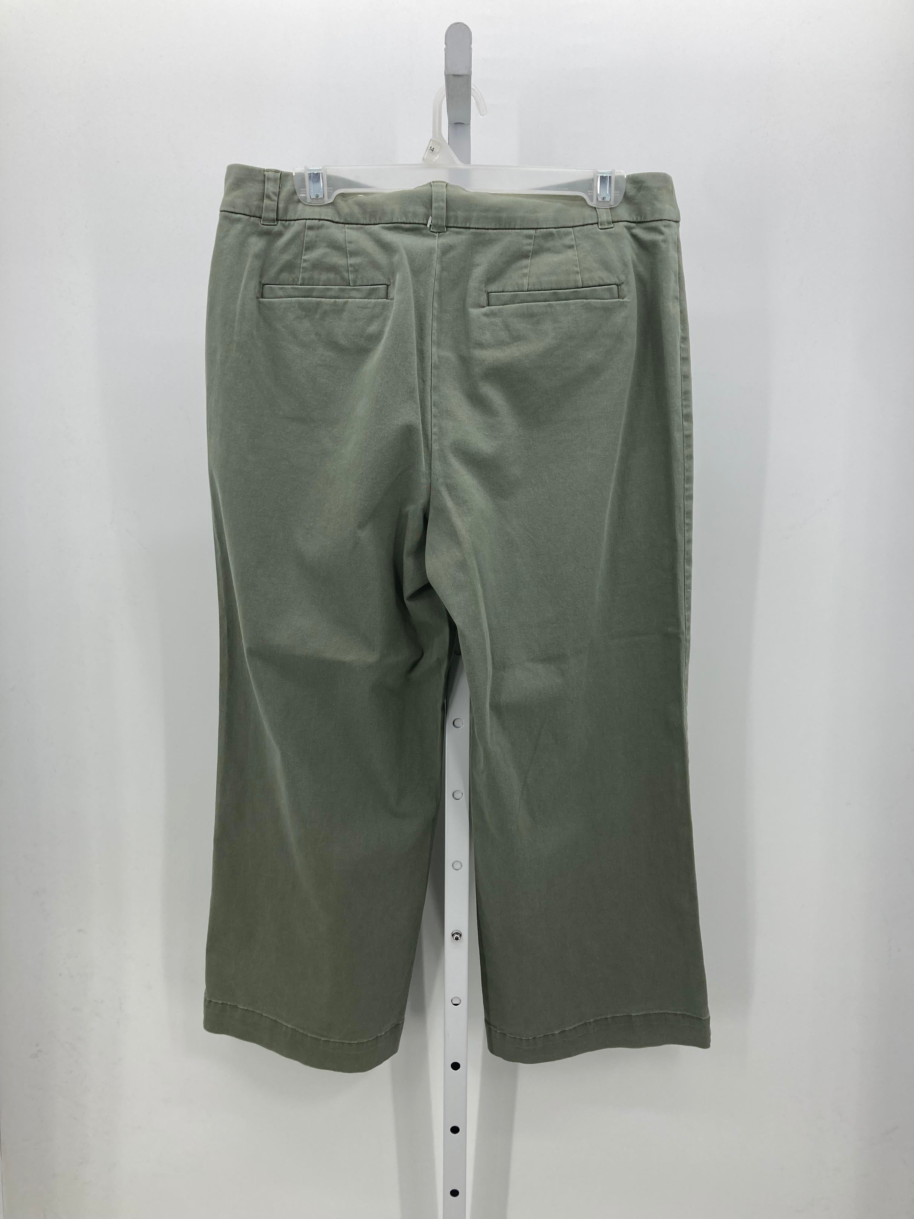 Loft Size 10 Misses Cropped Pants