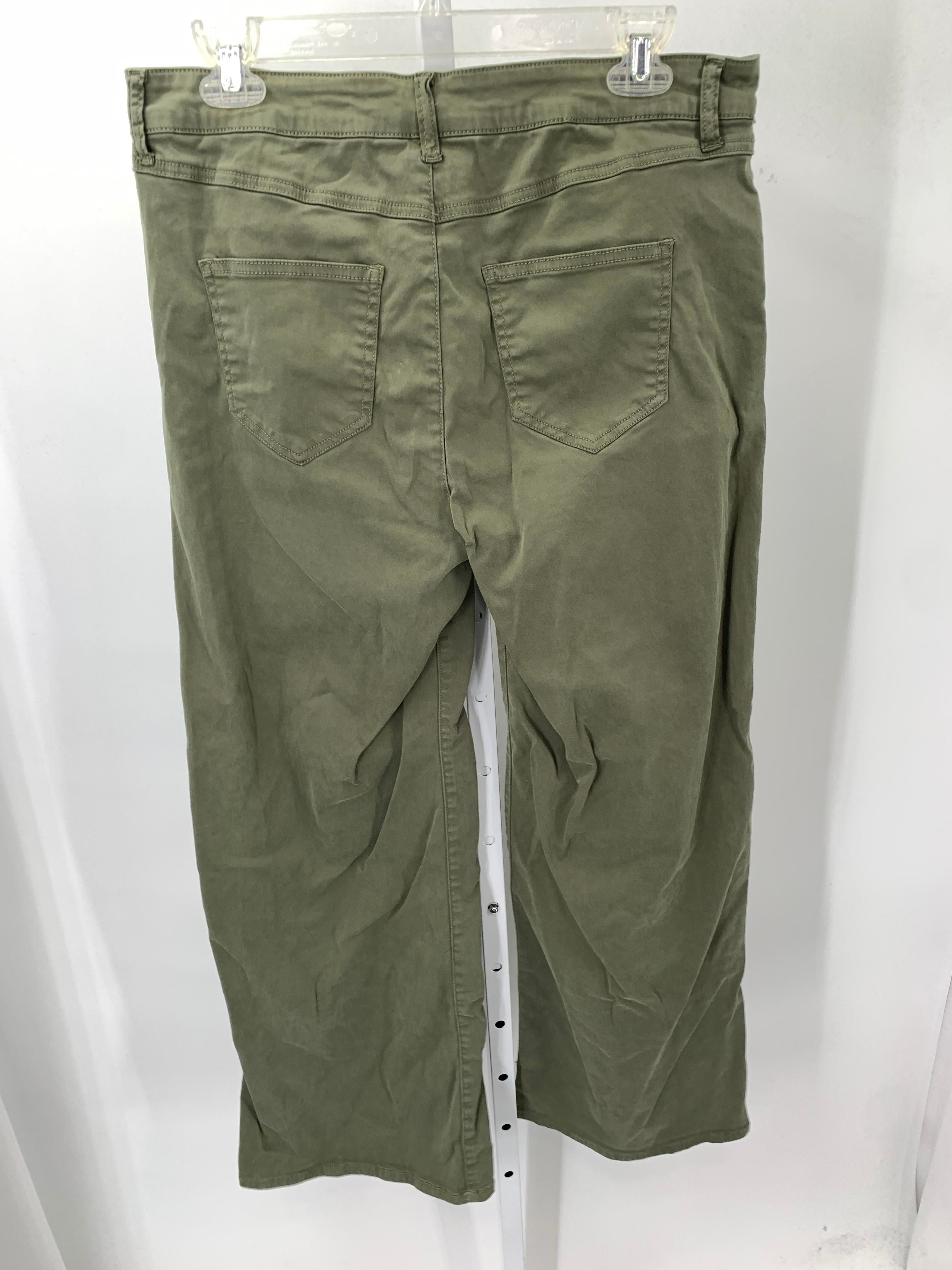 Size 10 Misses Pants