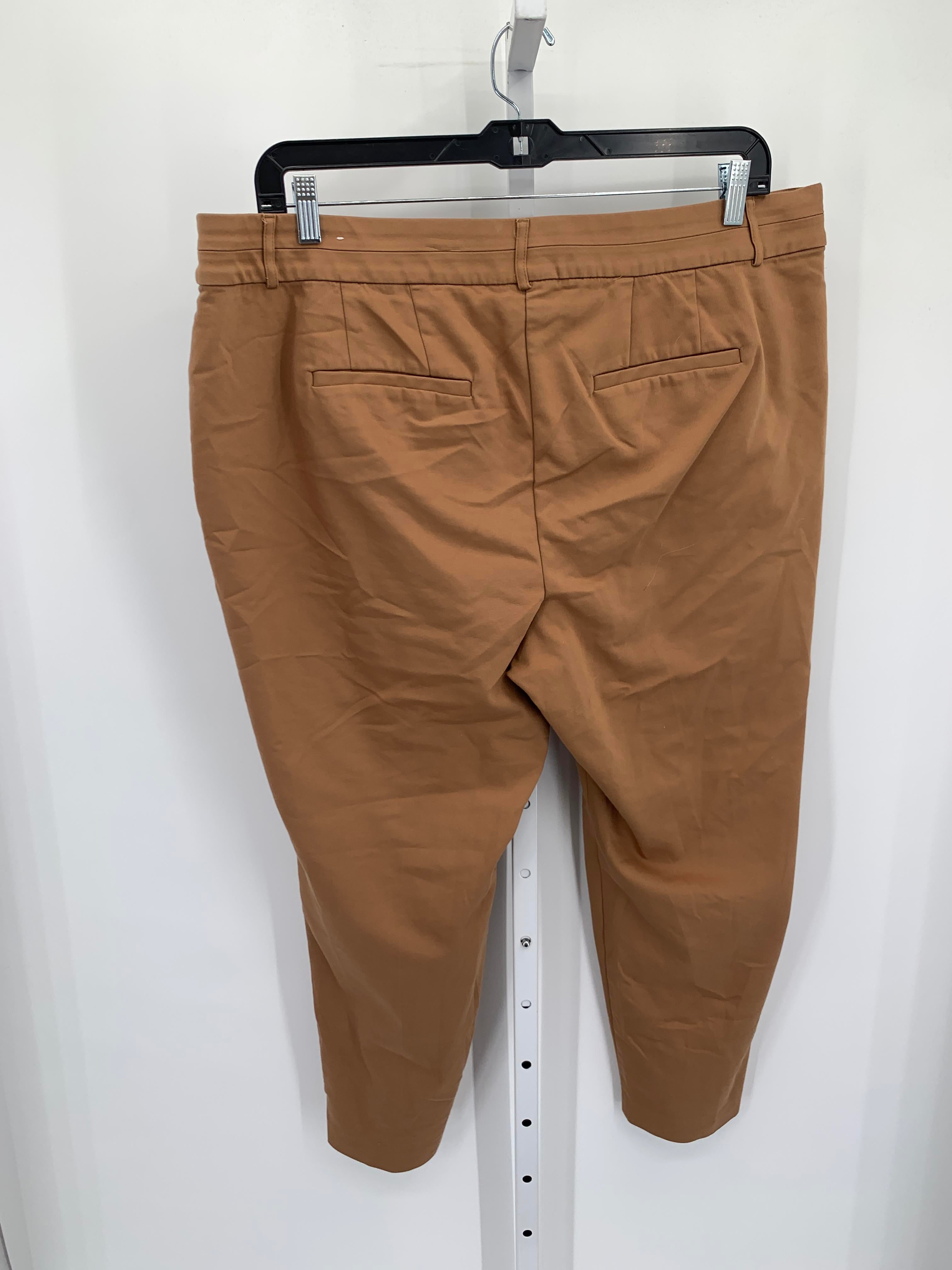 Lane Bryant Size 20 W Womens Pants