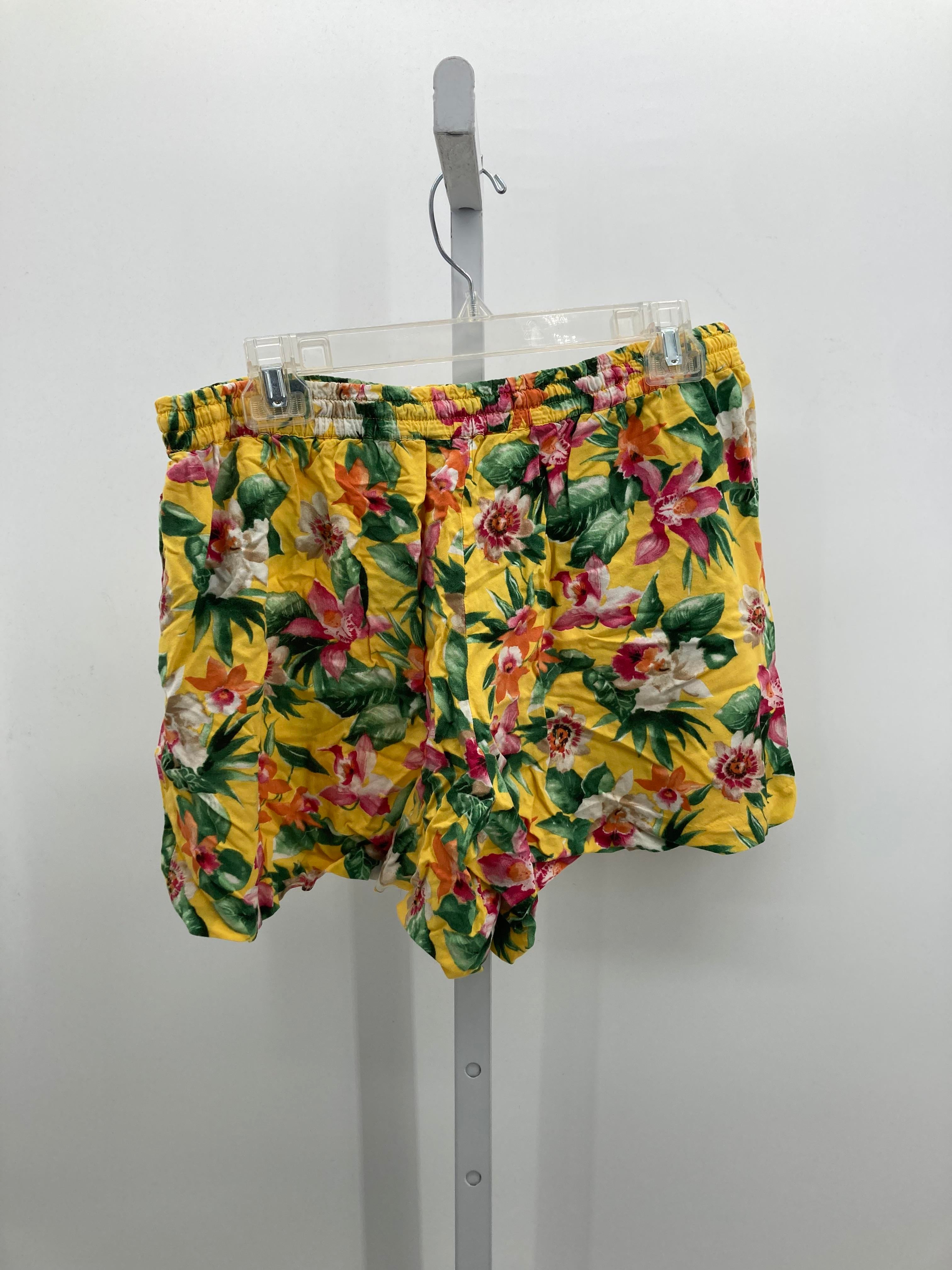 American Living Size Medium Misses Shorts
