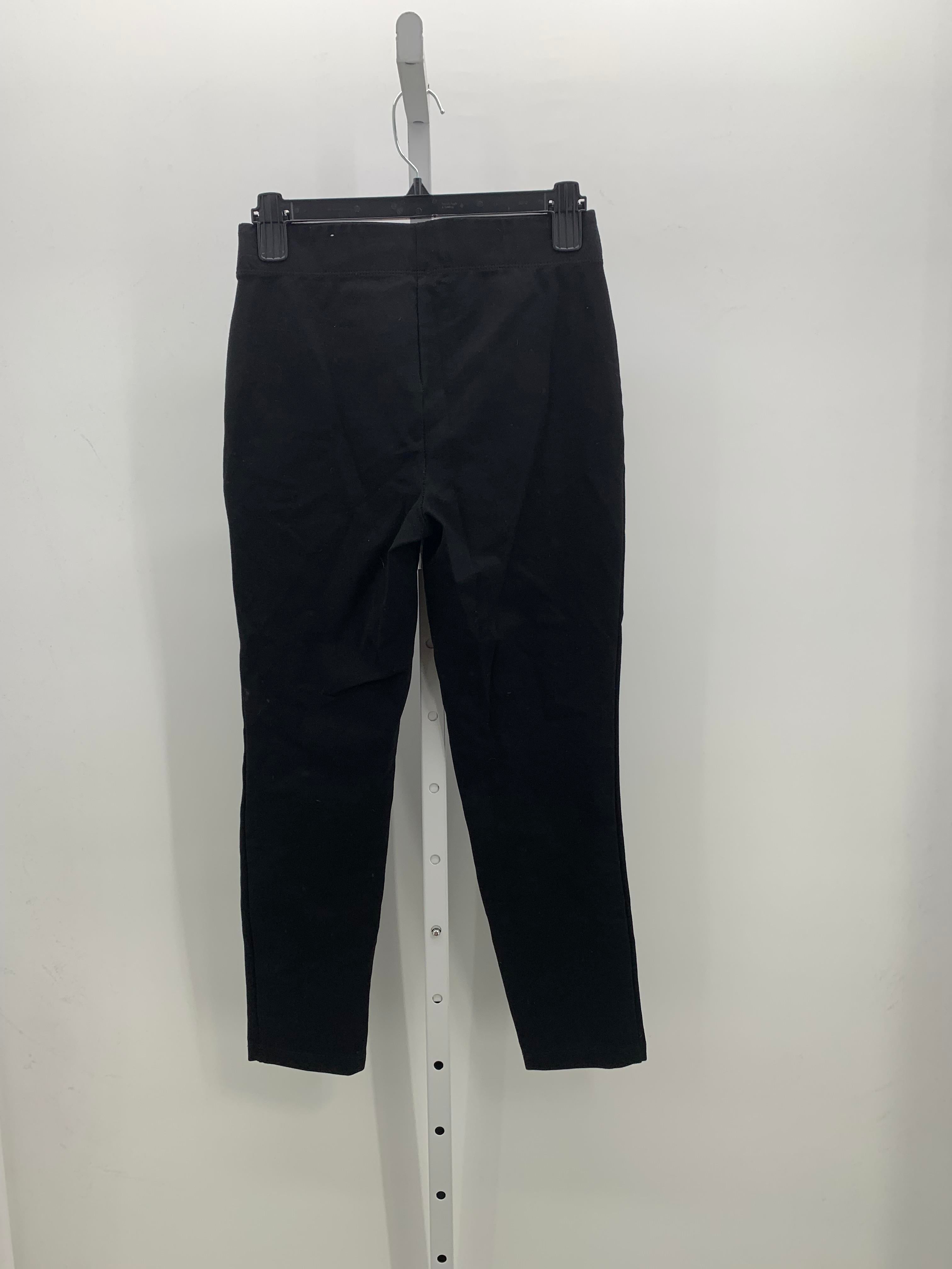 Max Studio Size Small Misses Pants