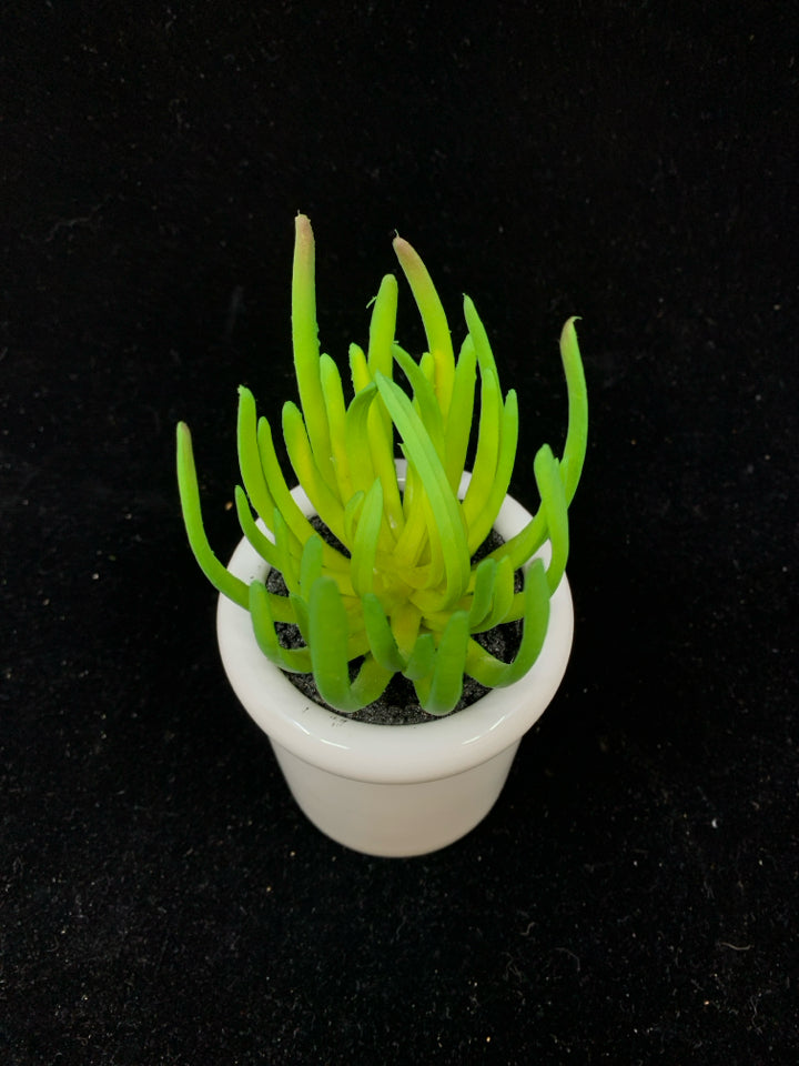 FAUX SUCCULENT IN WHITE POT.