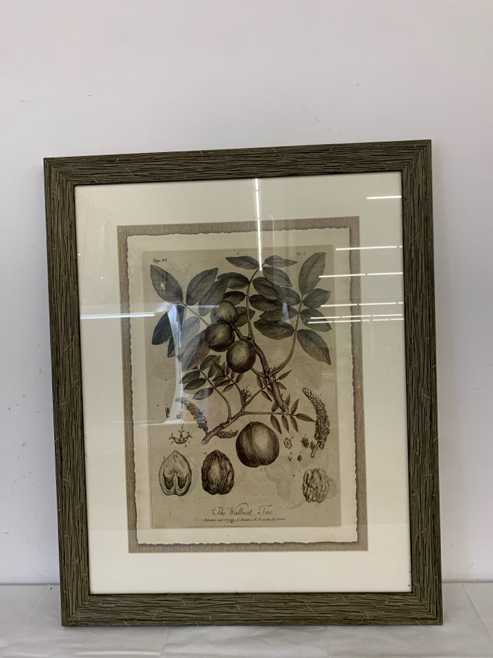 THE WALNUT TREE BLACK/WHITE LARGE WALL ART DISTRESSED FRAME.