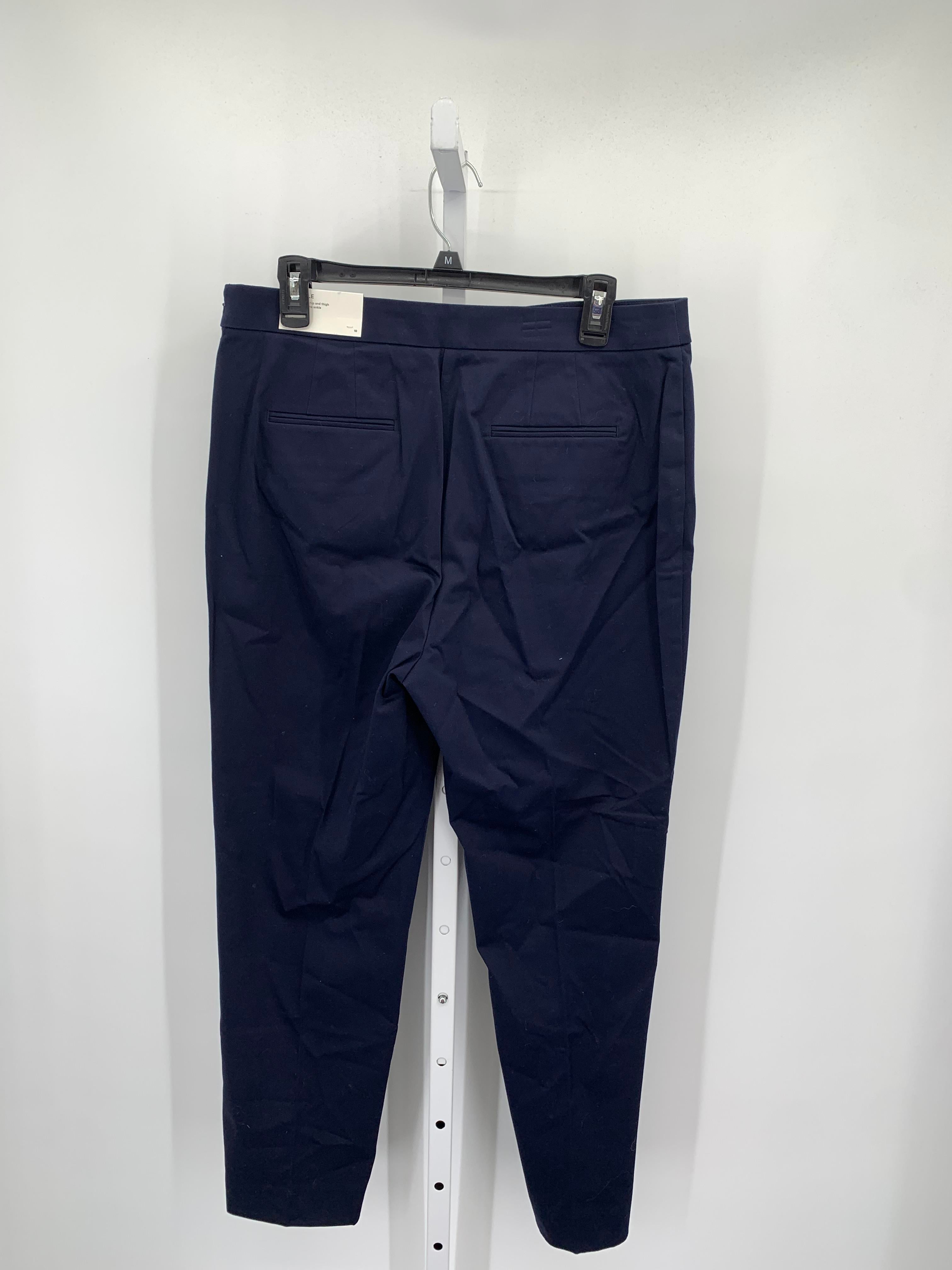 Ann Taylor Size 10 Misses Pants