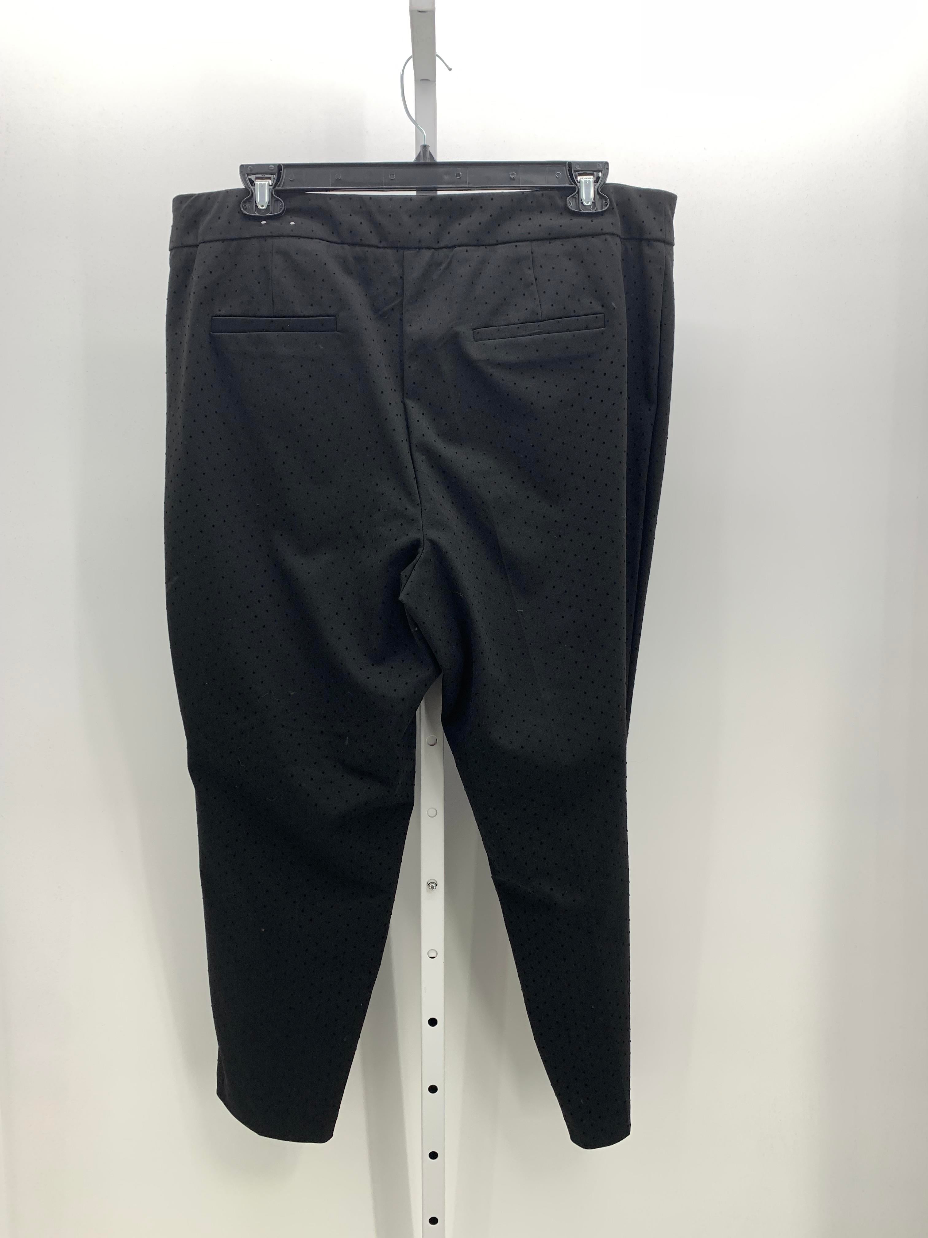 Dalia Collection Size 20 W Womens Pants