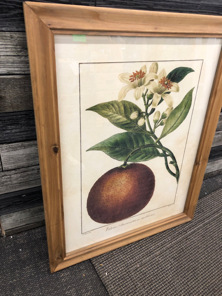 ORANGE AND FLOWER PRINT IN UNFINISHED WOOD FRAME.