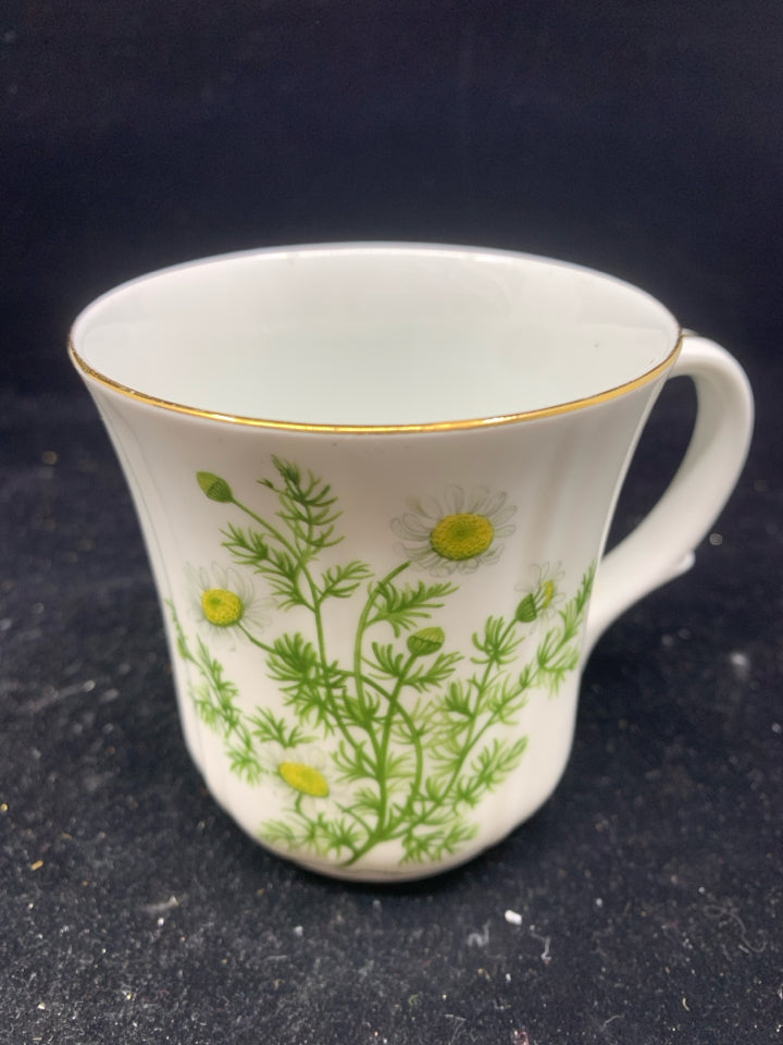 6 DUCHESS CHINA FLORAL & BERRIES MUGS.