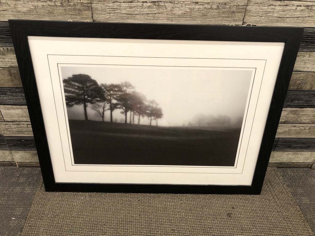 B&W "MEADOW EDGE" FOG TREE STUDY WALL ART.