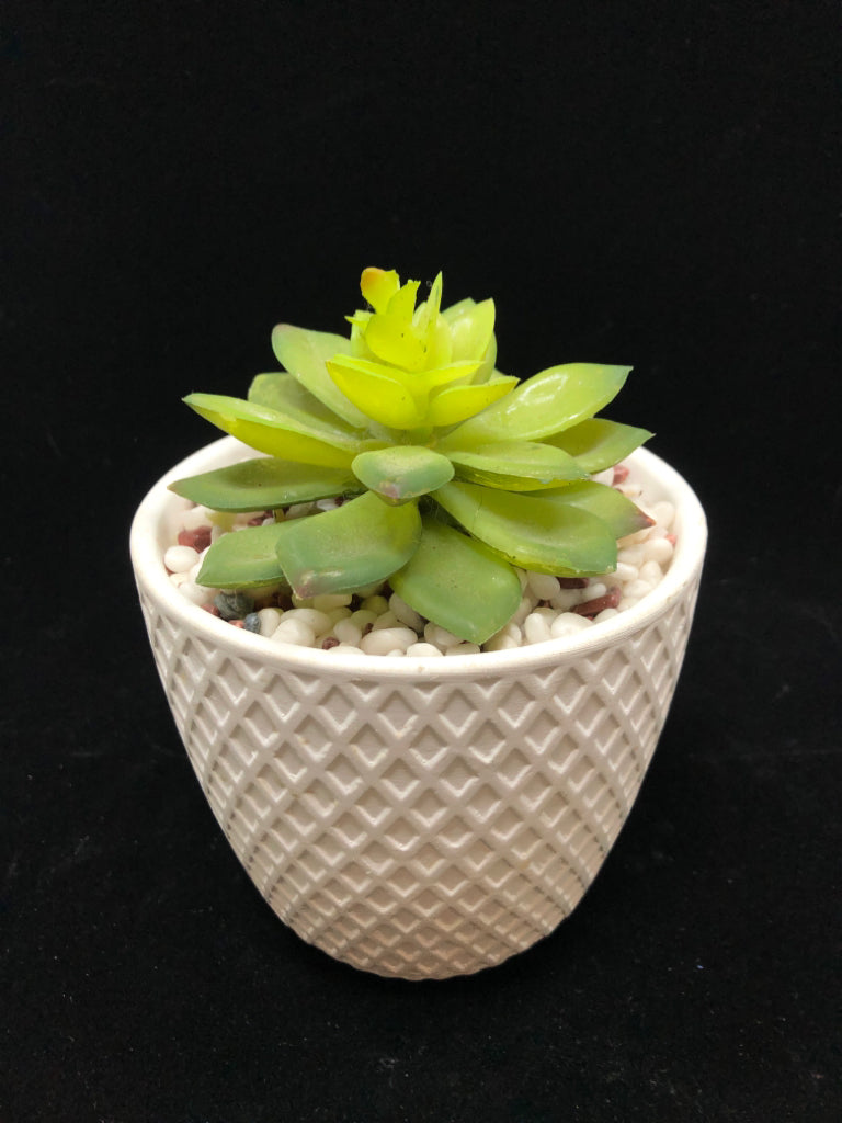 FAUX SUCCULENT IN WHITE DIAMOND STYLE VASE.