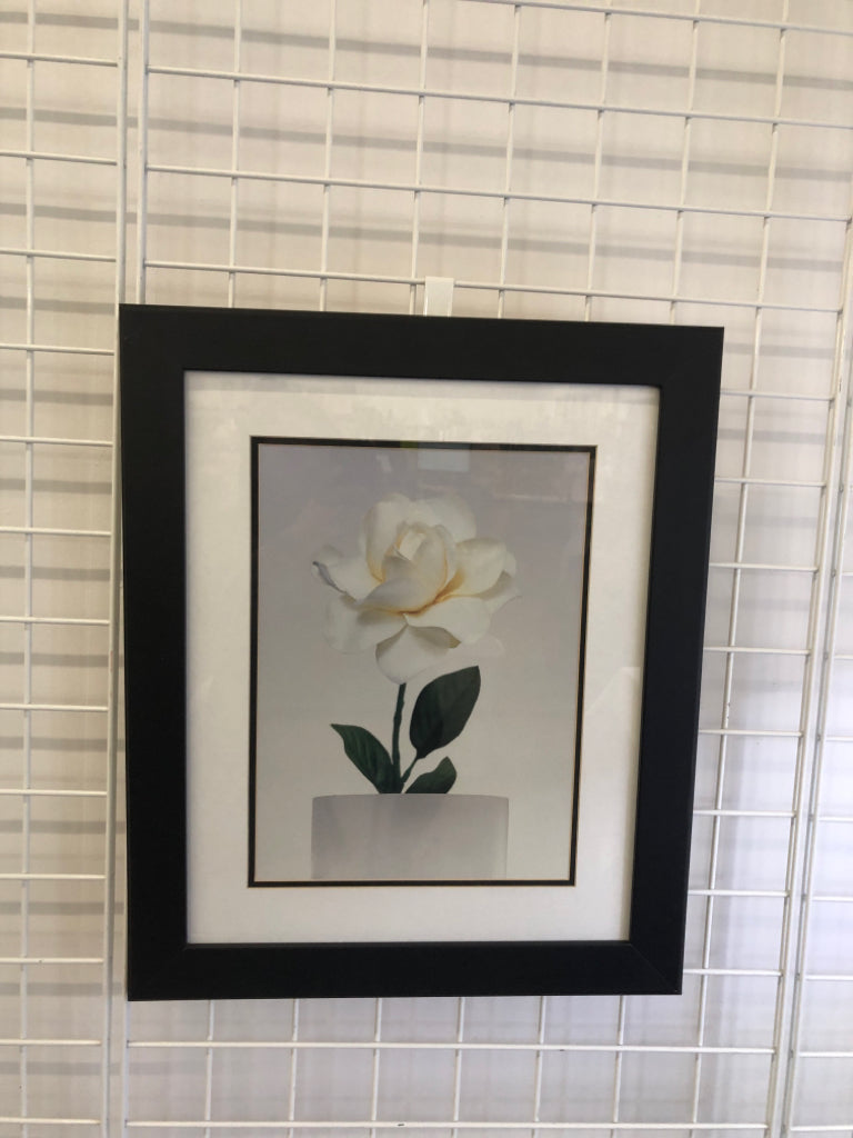 WHITE ROSE IN BLACK FRAME PICTURE.