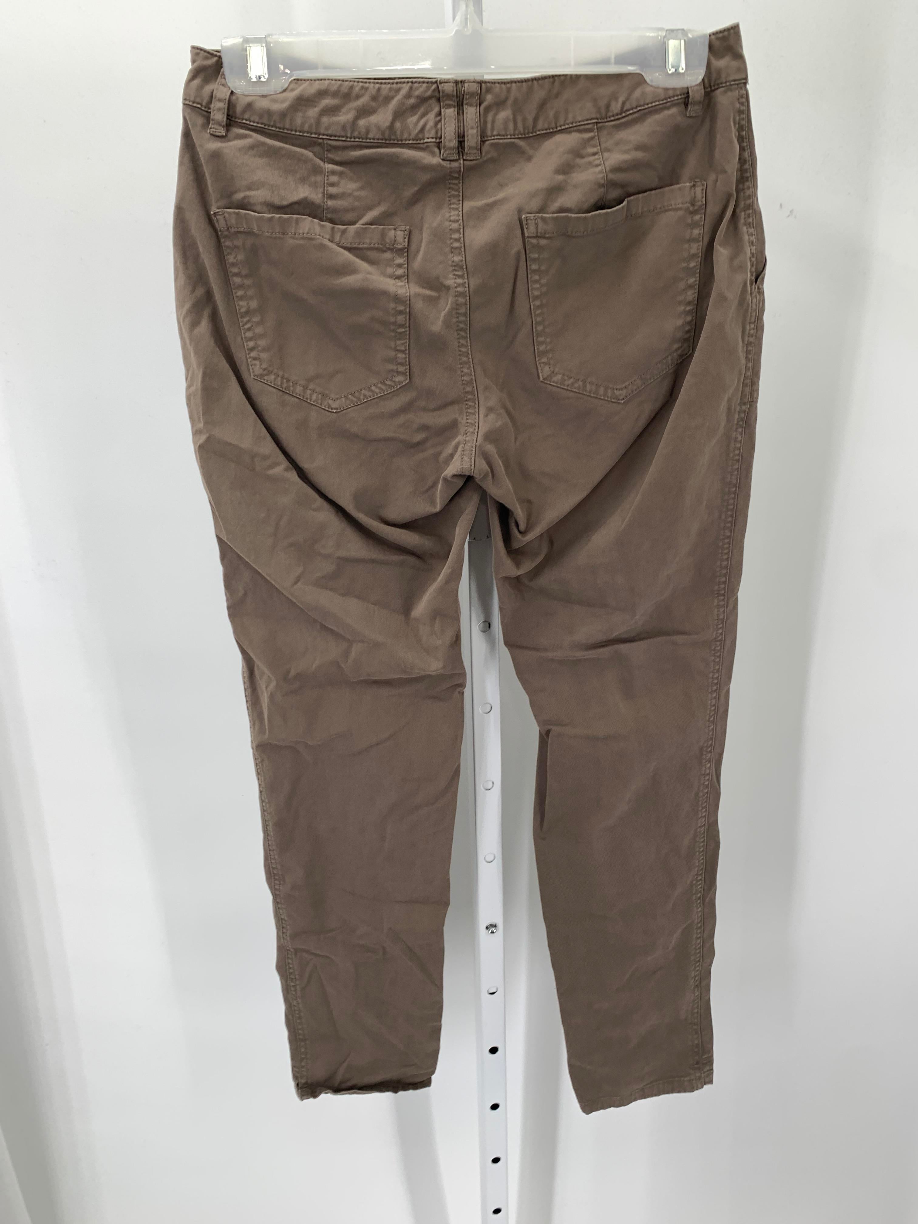 Garnet Hill Size 2 Misses Pants