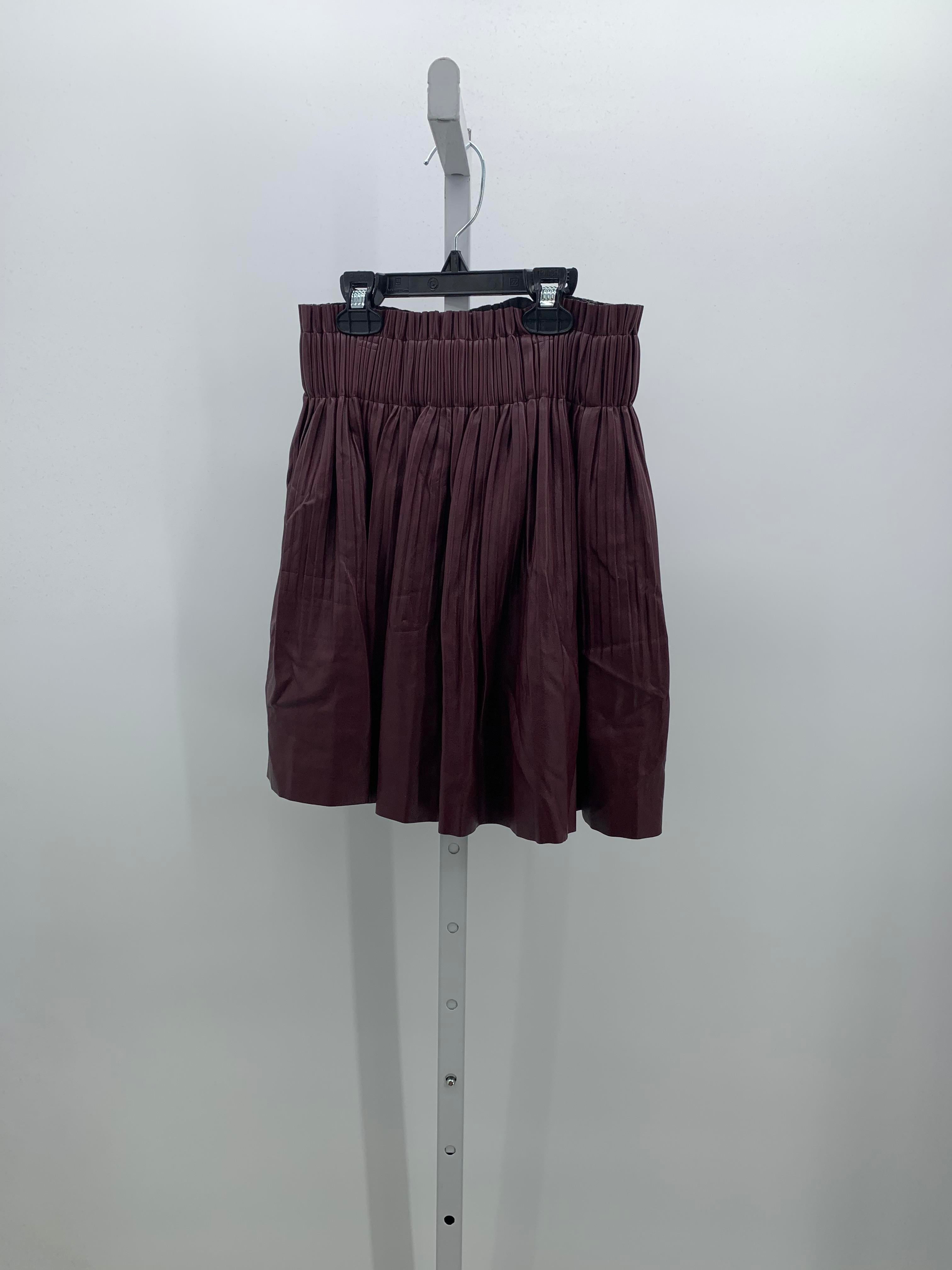 Size X Small Juniors Skirt