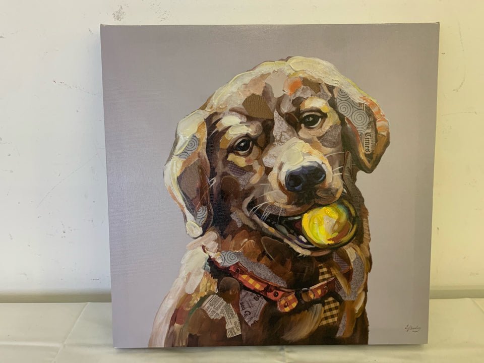 BROWN LAB W/ BALL IN MOUTH CANVAS.