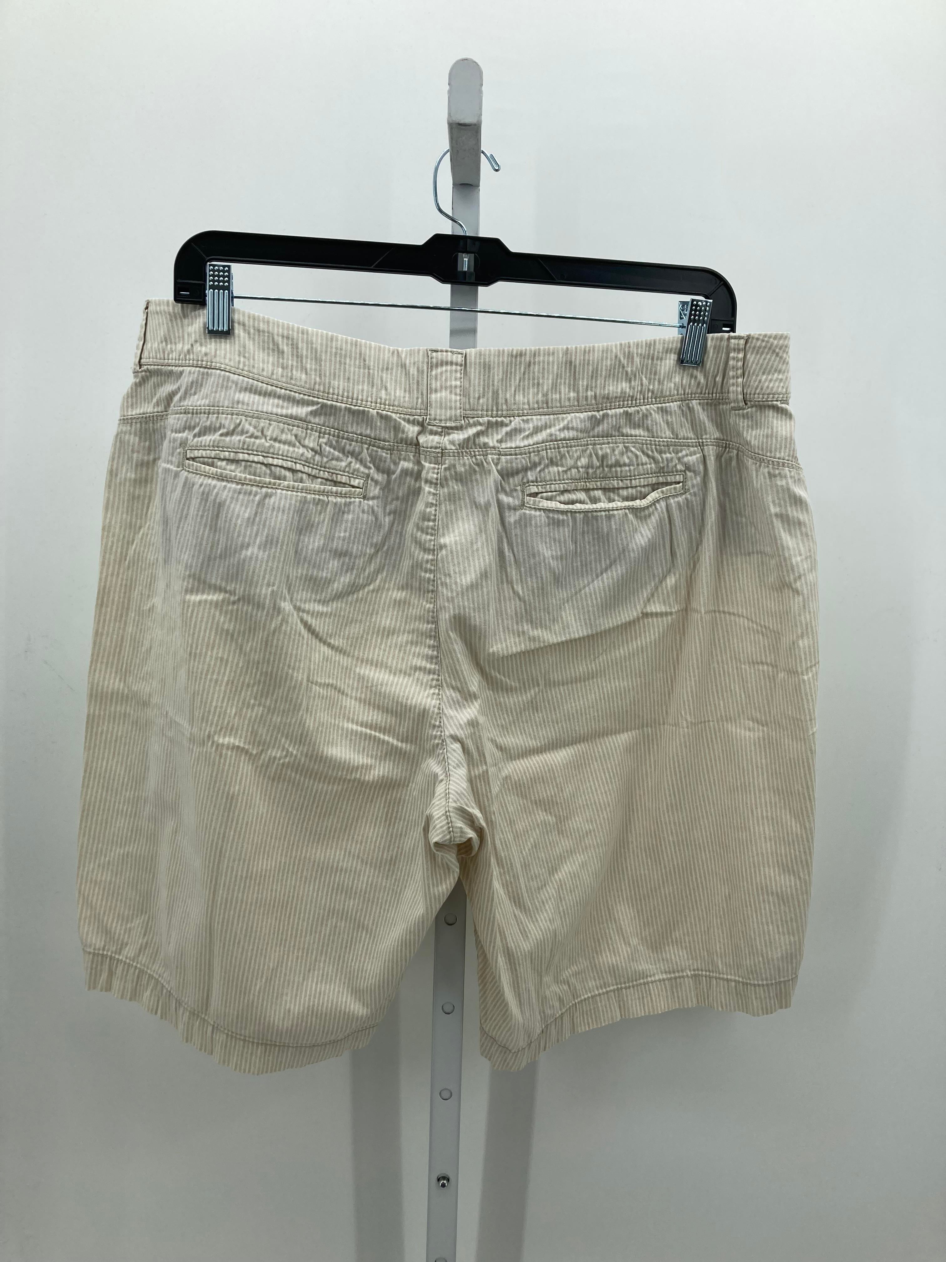Intro Size 18 W Womens Shorts