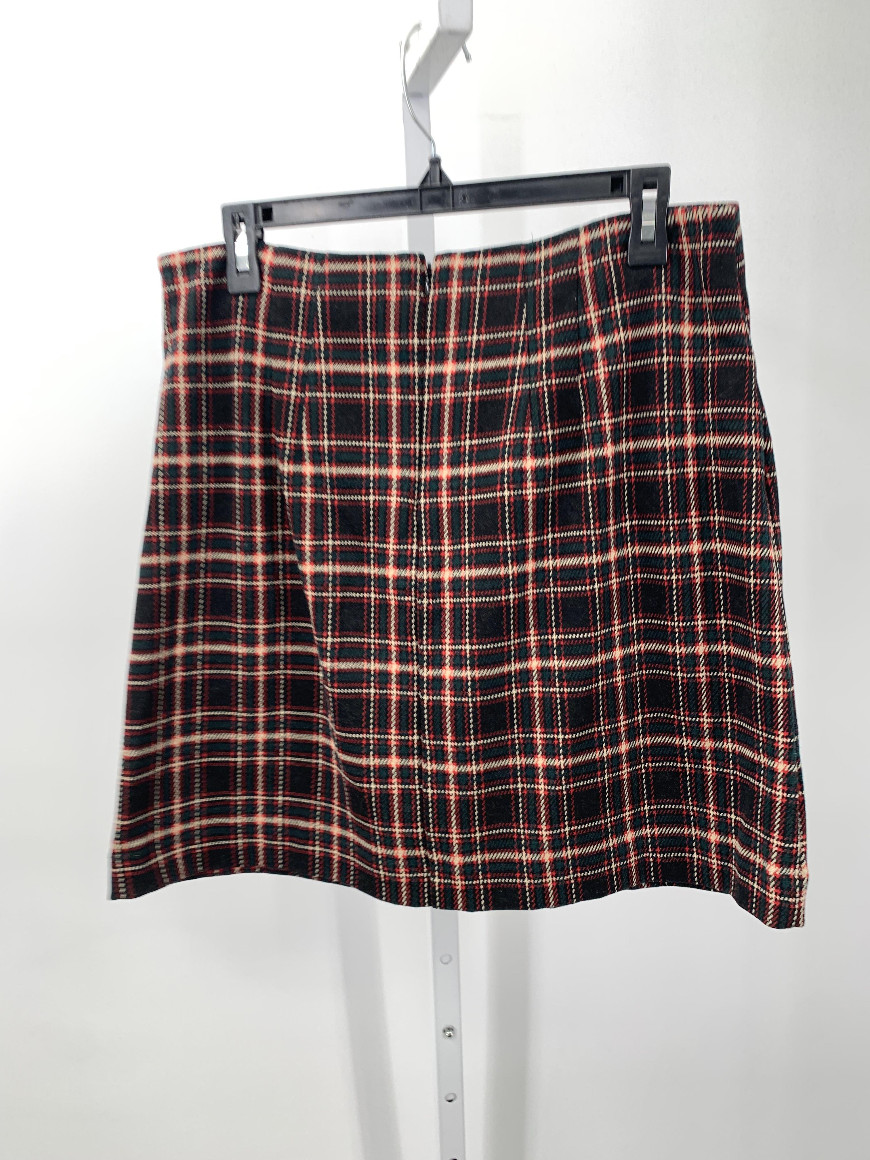 Loft Size 10 Petite Petite Skirt