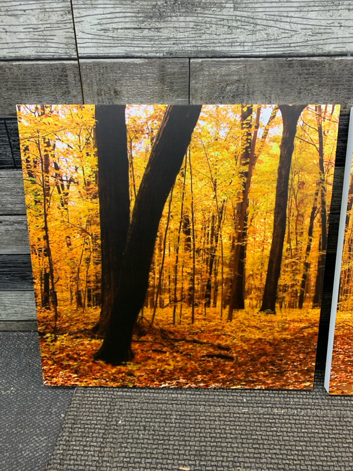3PC FALL FOREST PRINTS.