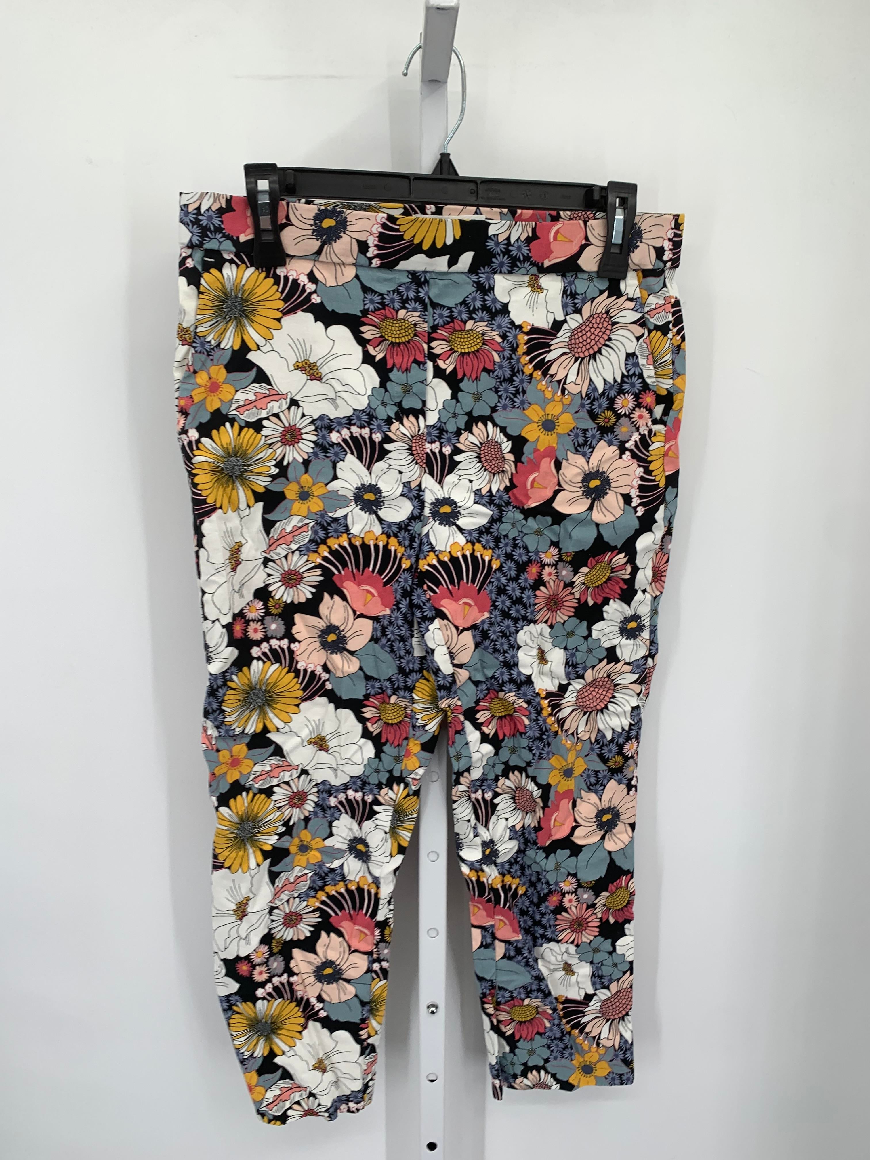 Jules & Leopold Size Large Misses Cropped Pants