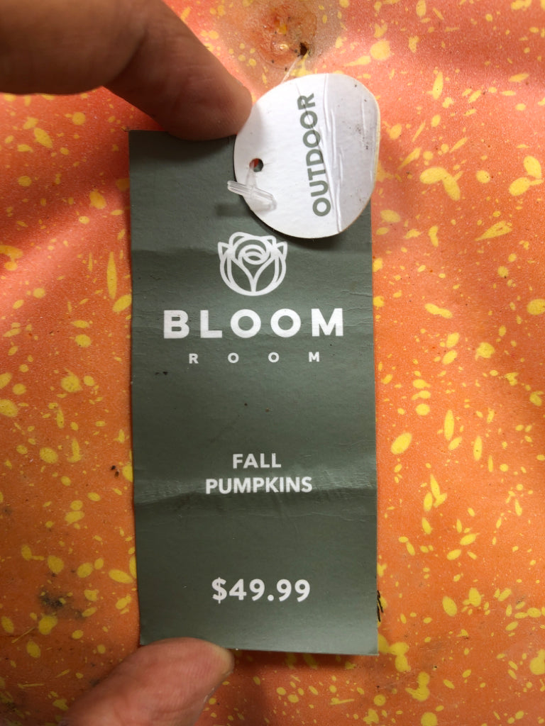 OUTDOOR PUMPKIN W/TAGS.