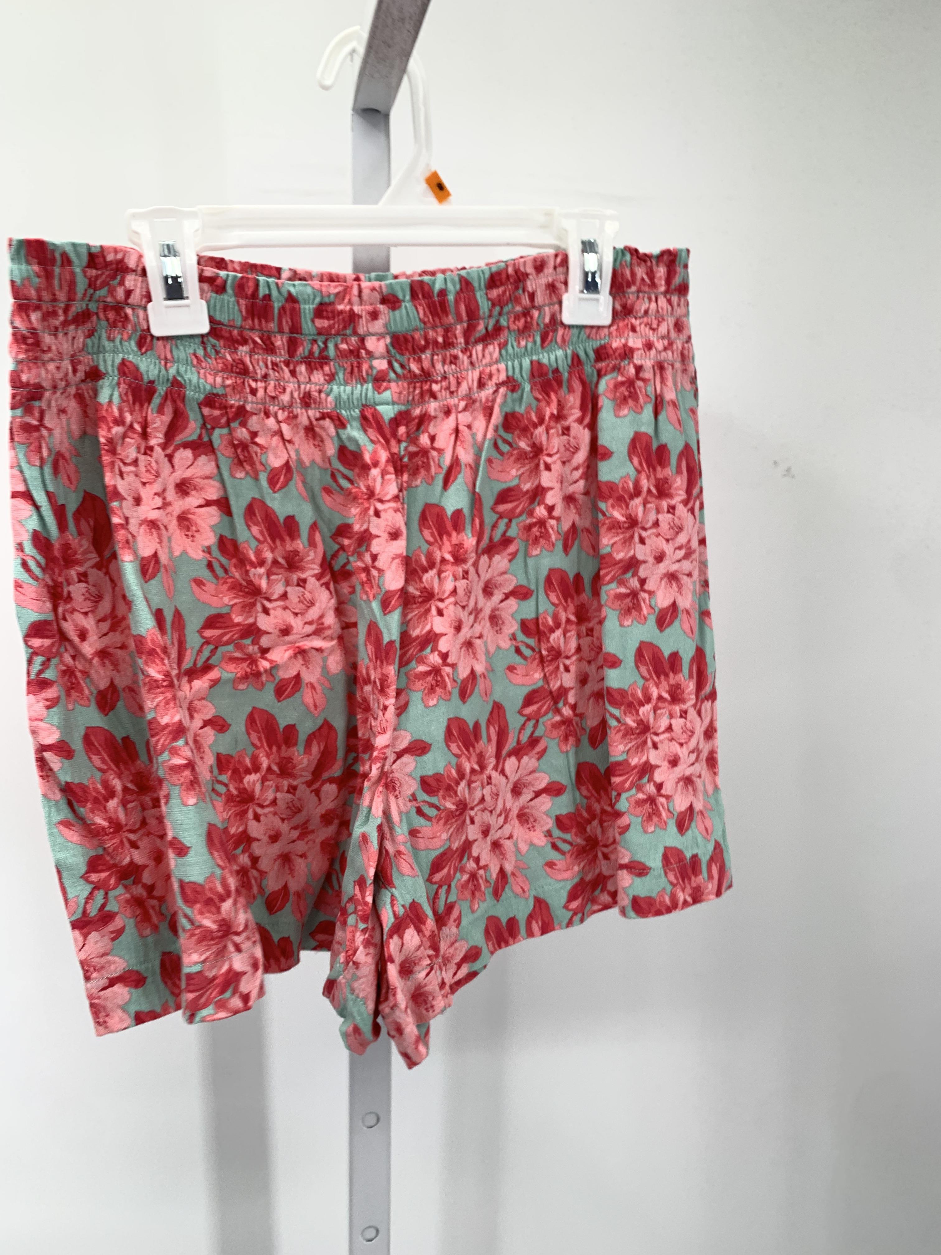 Loft Size Small Misses Shorts