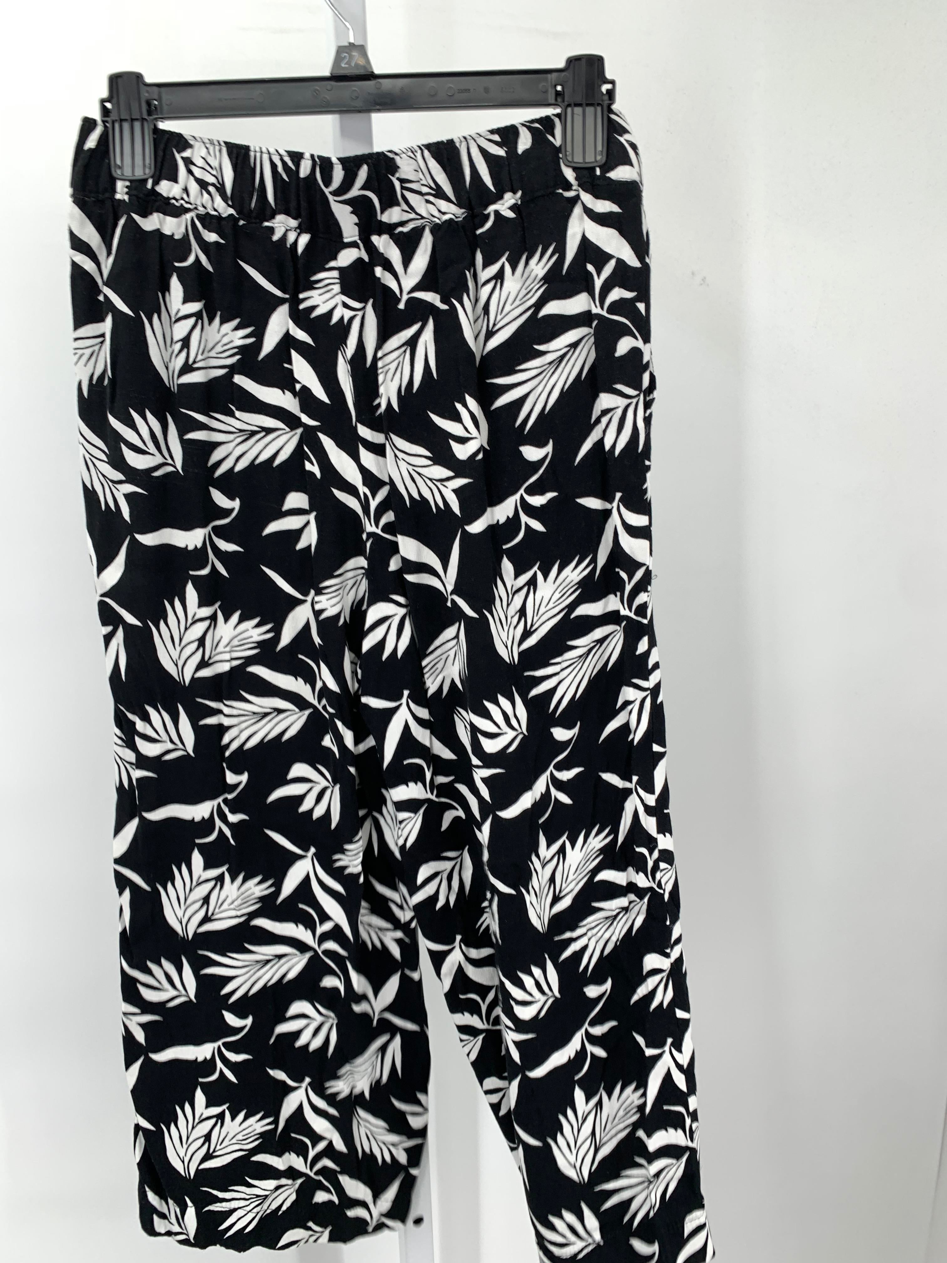 Loft Size X Small Petite Petite Pants