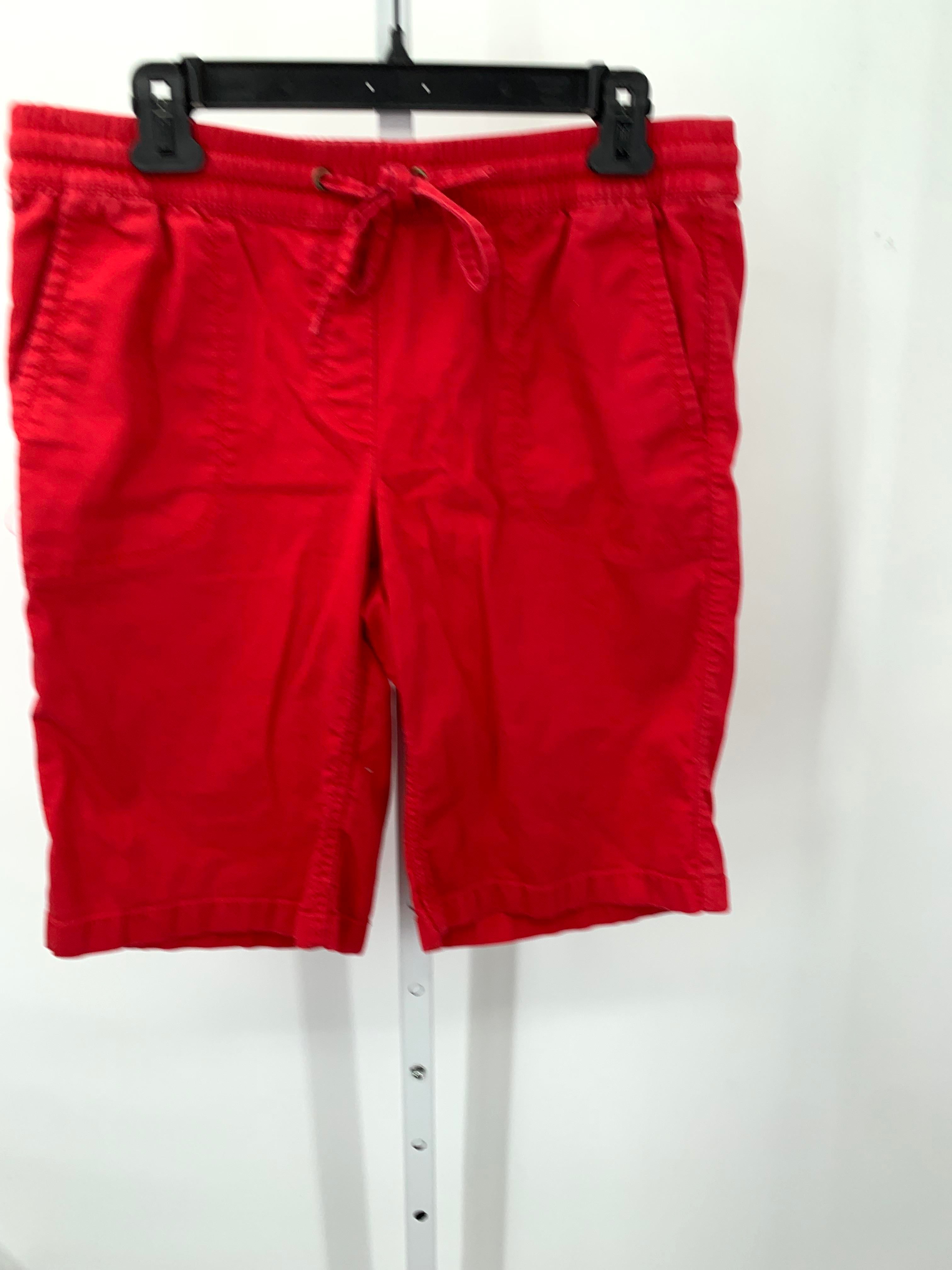 Loft Size 6 Misses Shorts
