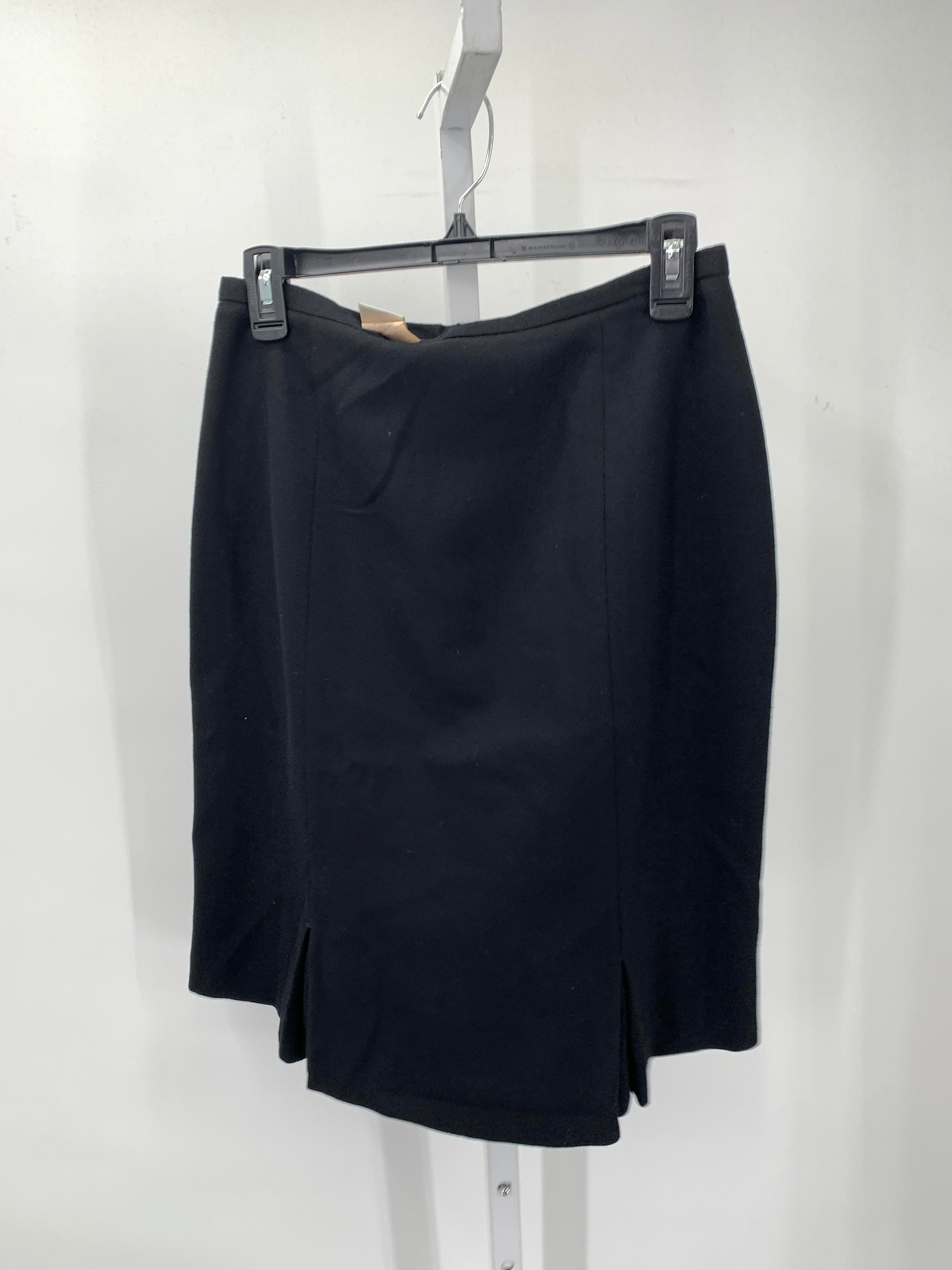Size 8 Petite Petite Skirt