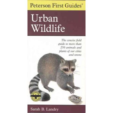 Peterson First Guide to Urban Wildlife - by Sarah B Landry (Paperback) - Landry,