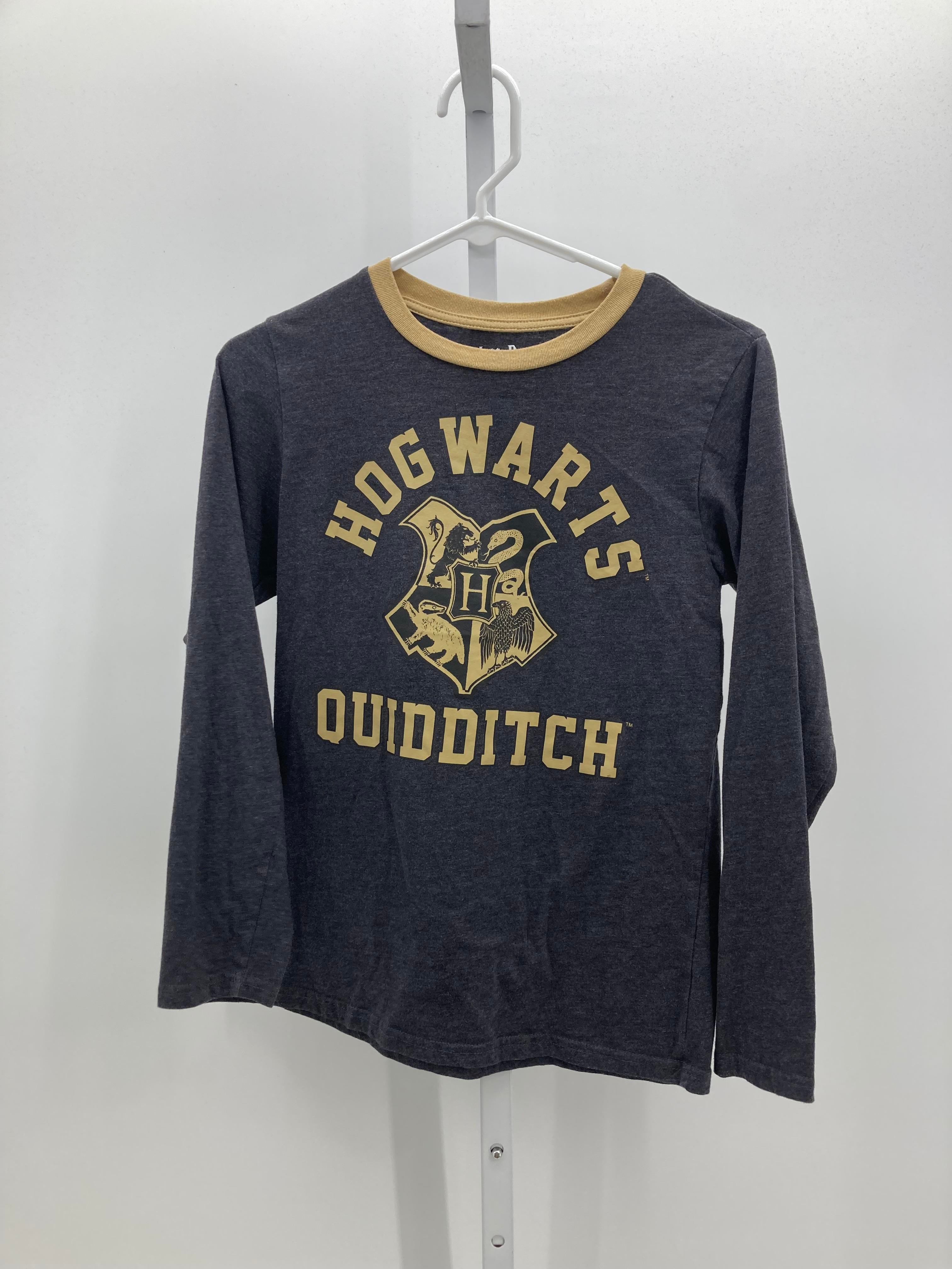 HOGWARTS QUIDDITCH