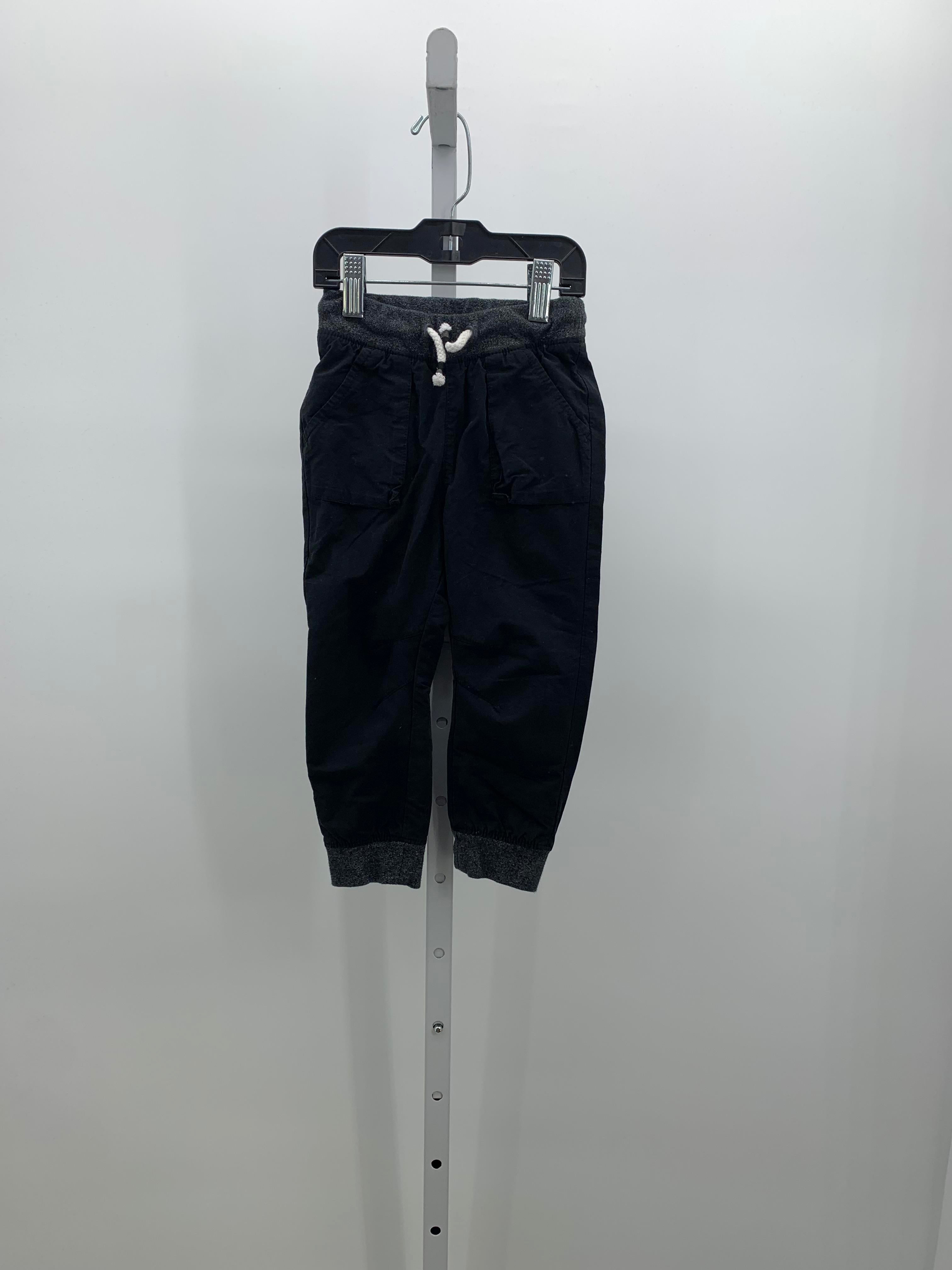 DRAW WAIST LINED PANTS