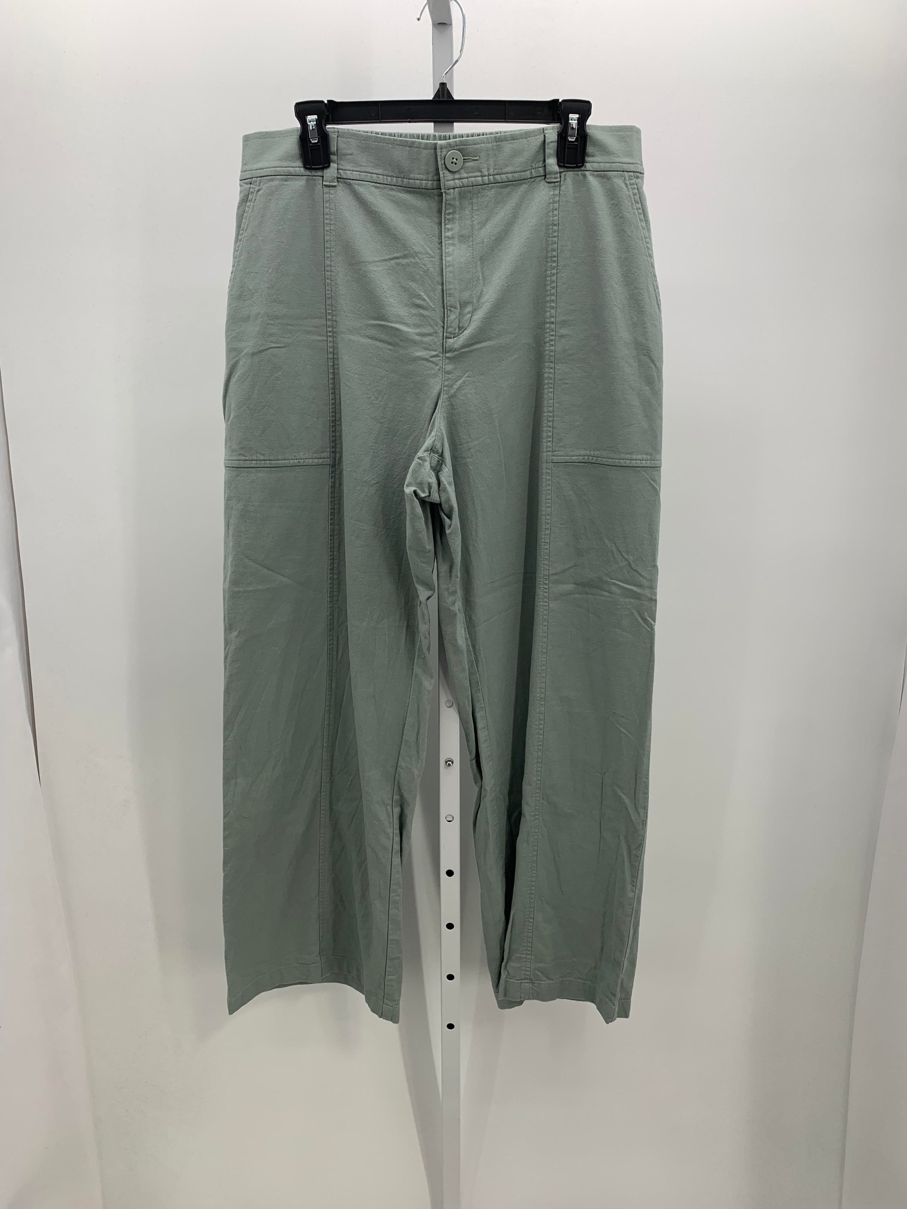 Loft Size 14 Misses Pants