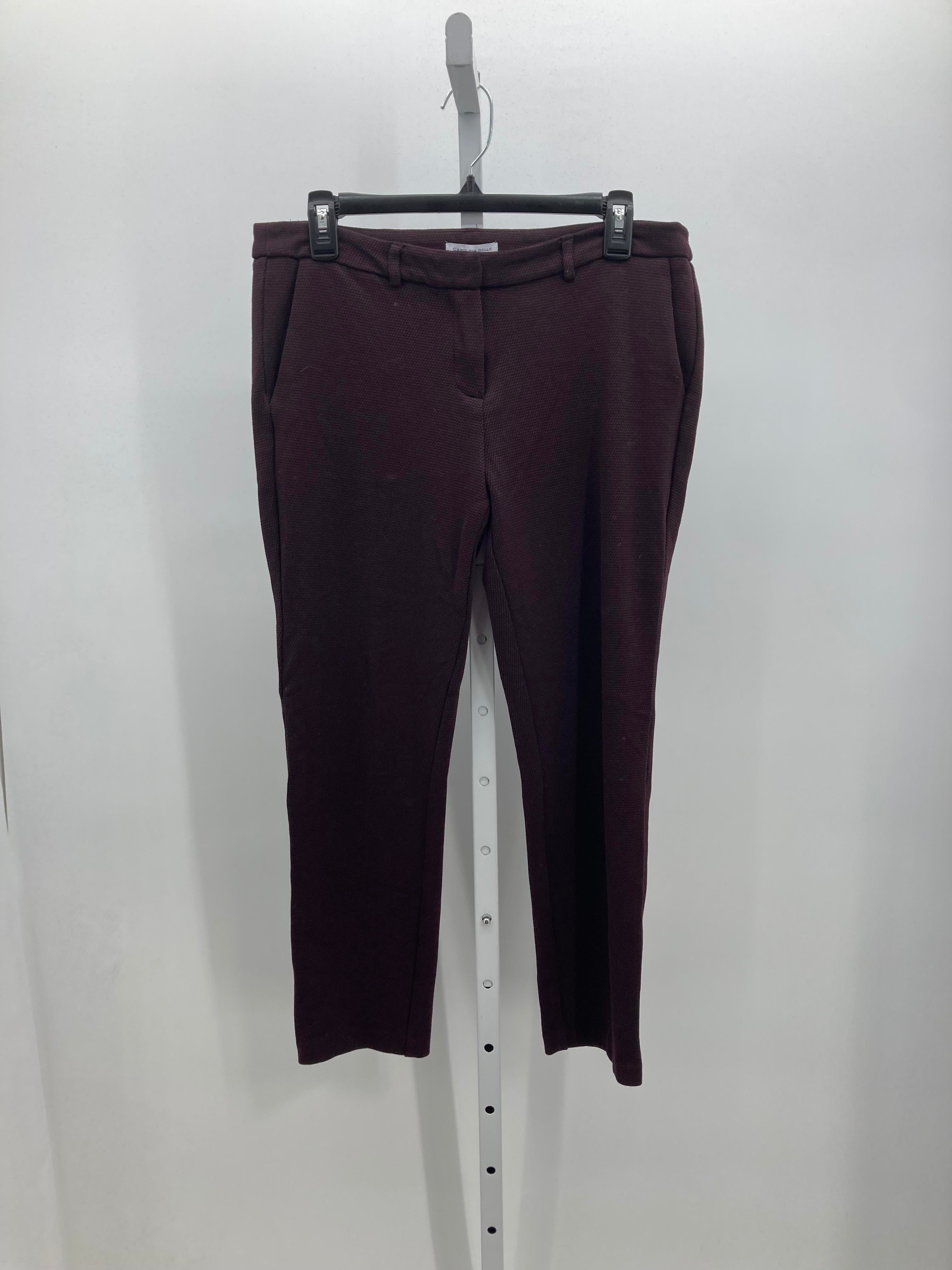 Size 10 Misses Pants