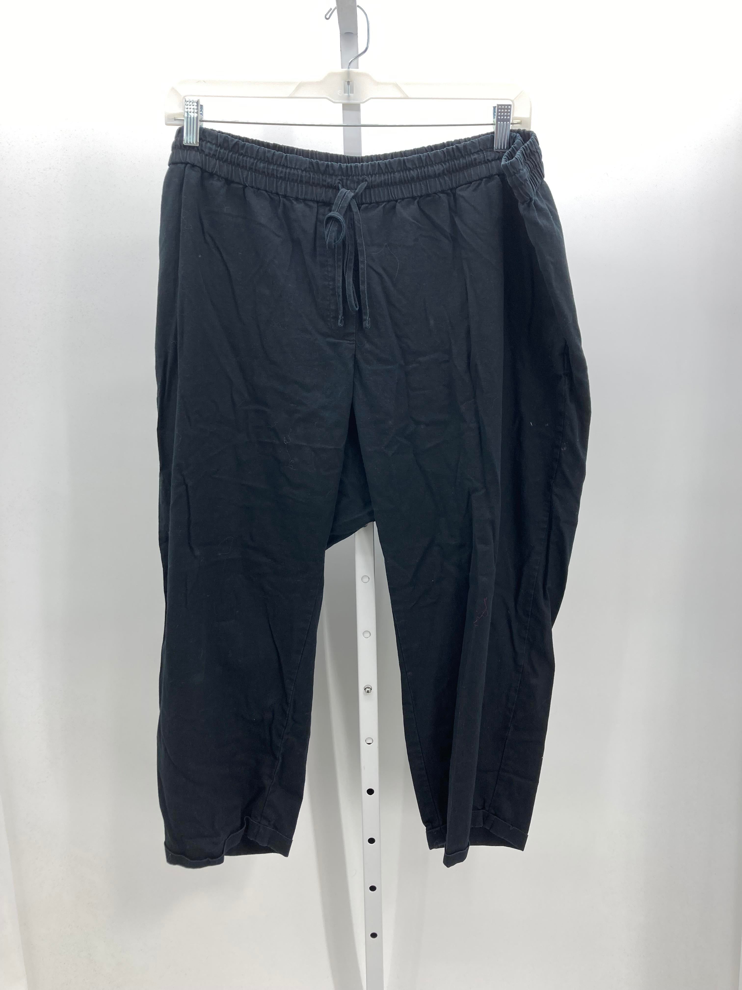 J Crew Size 24 W Womens Pants