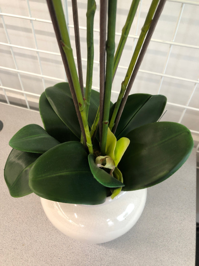 ORCHIDS IN WHITE CRACKLE POT.