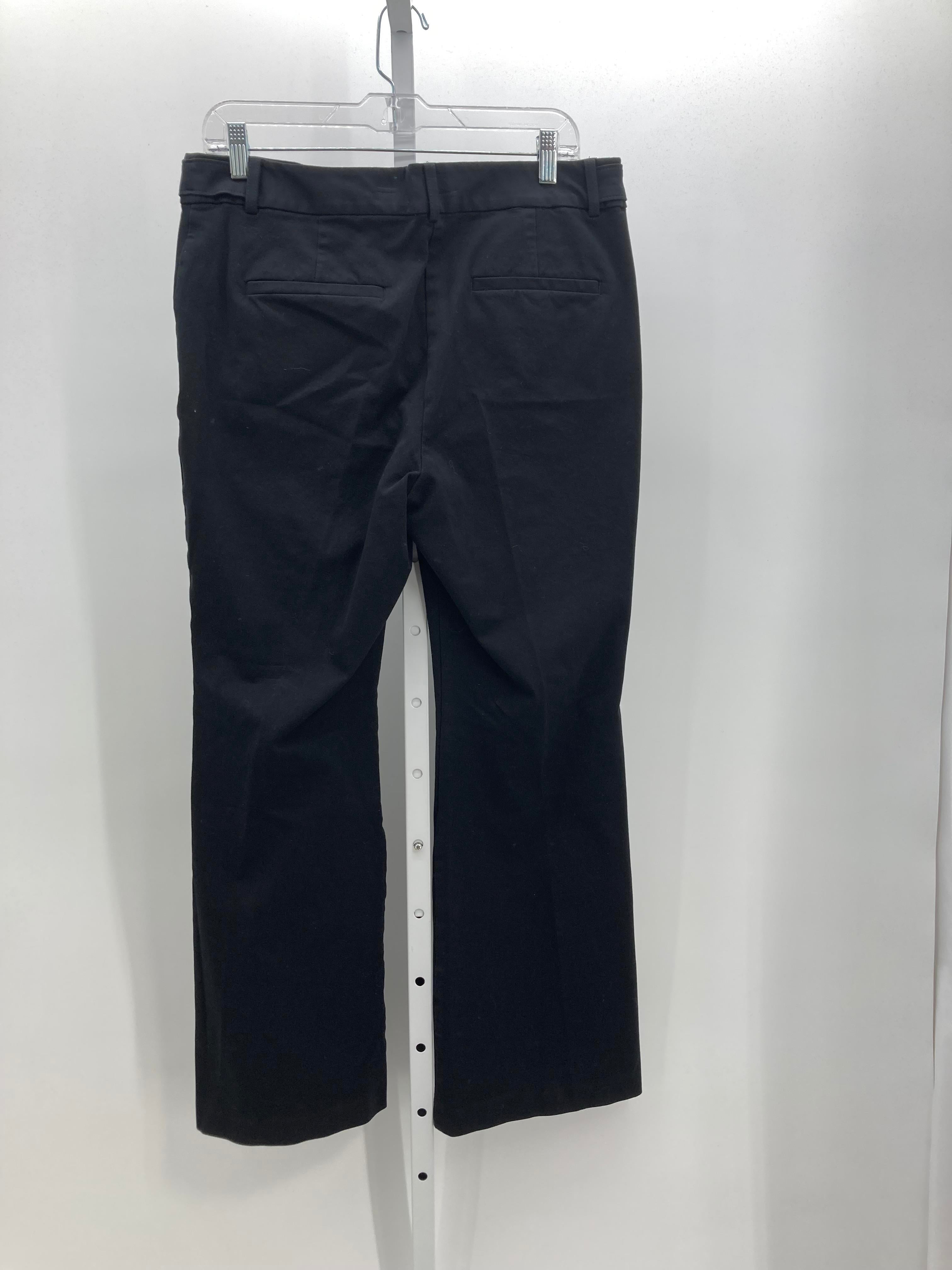 Loft Size 12 Misses Pants
