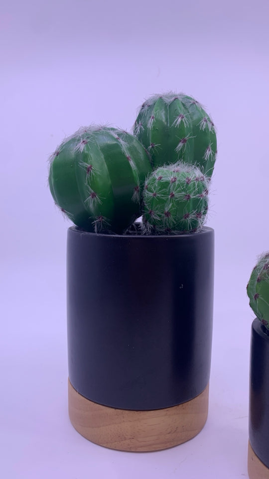 2 PC FAUX CACTI IN BLACK PLANTERS W/ WOOD BOTTOM.