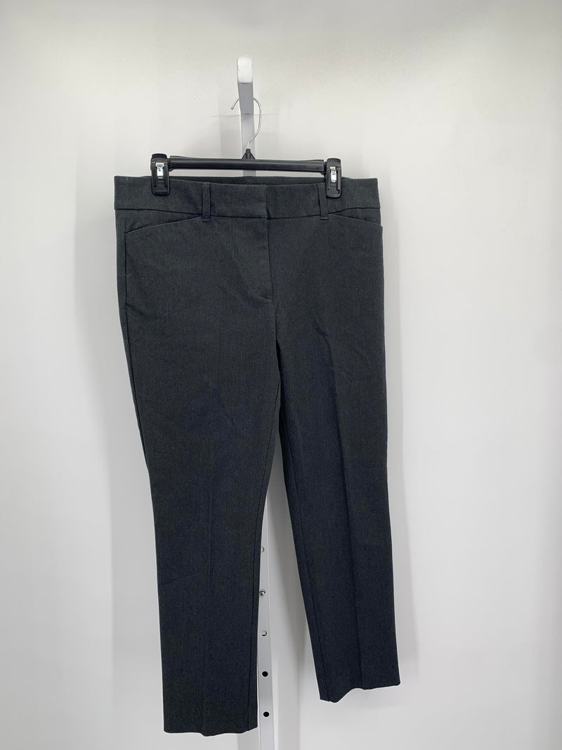 Loft Size 12 Petite Petite Pants