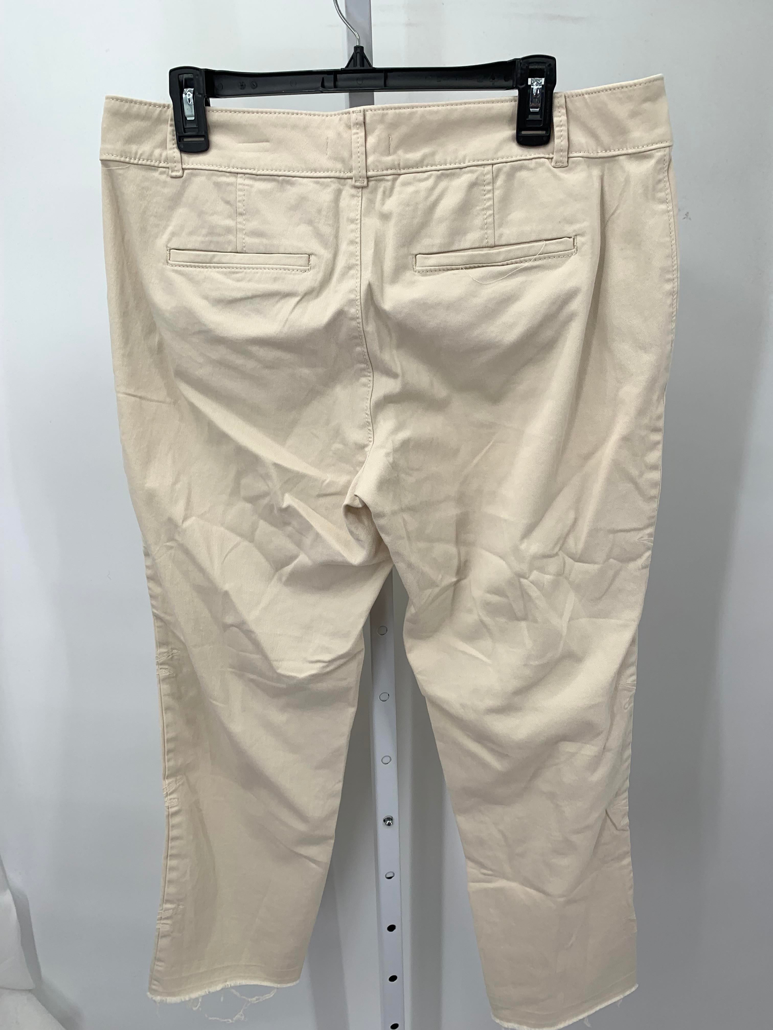 Loft Size 12 Misses Cropped Pants
