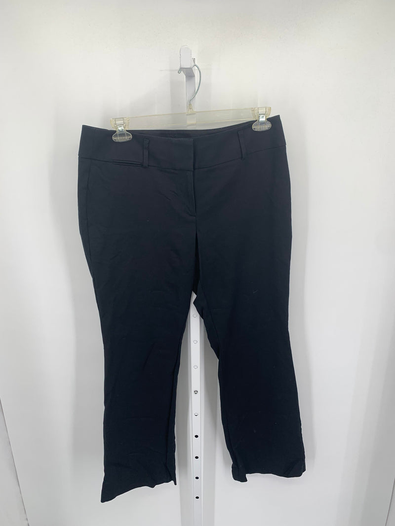 Loft Size 12 Misses Pants