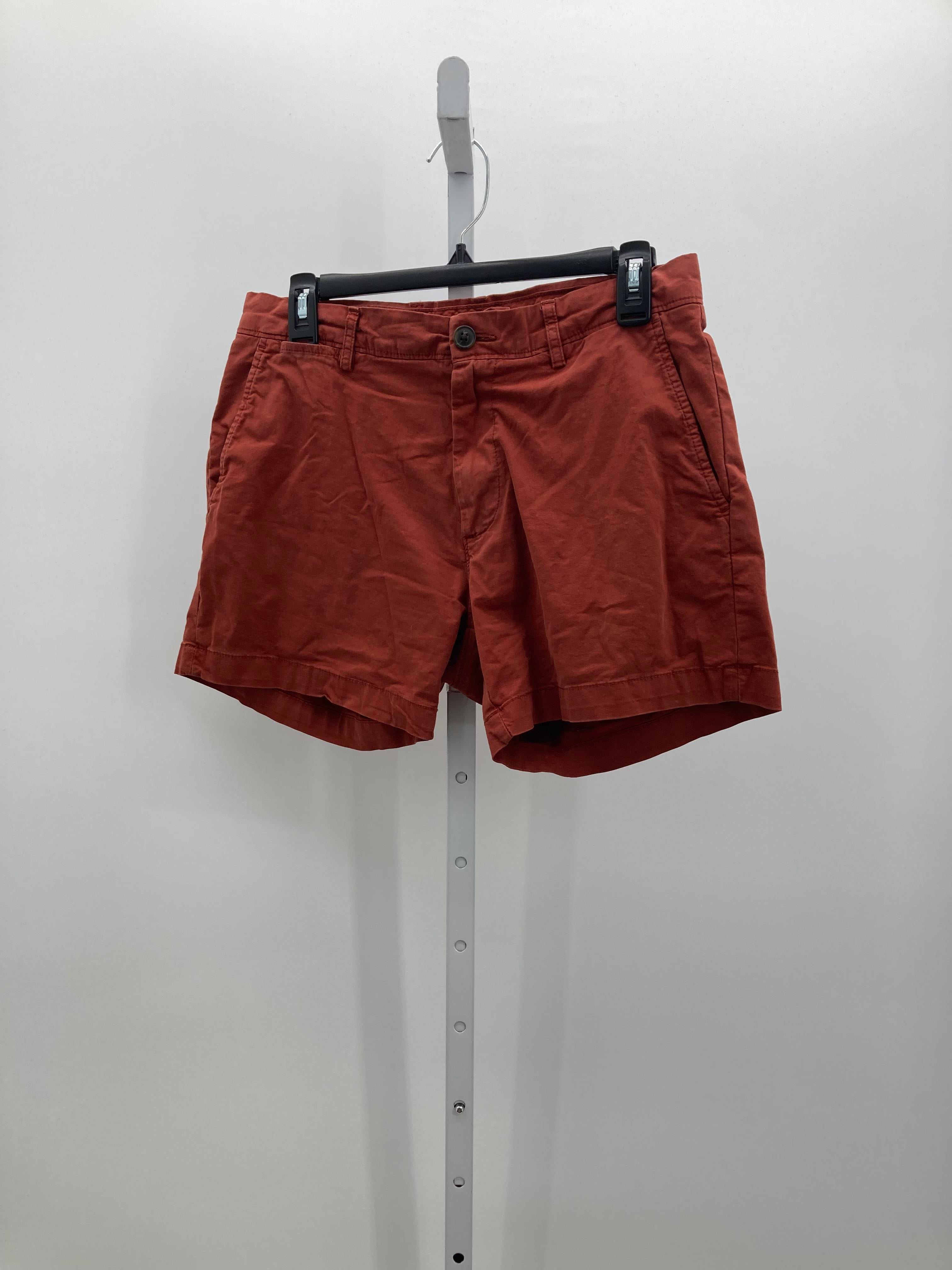 Size 10 Misses Shorts