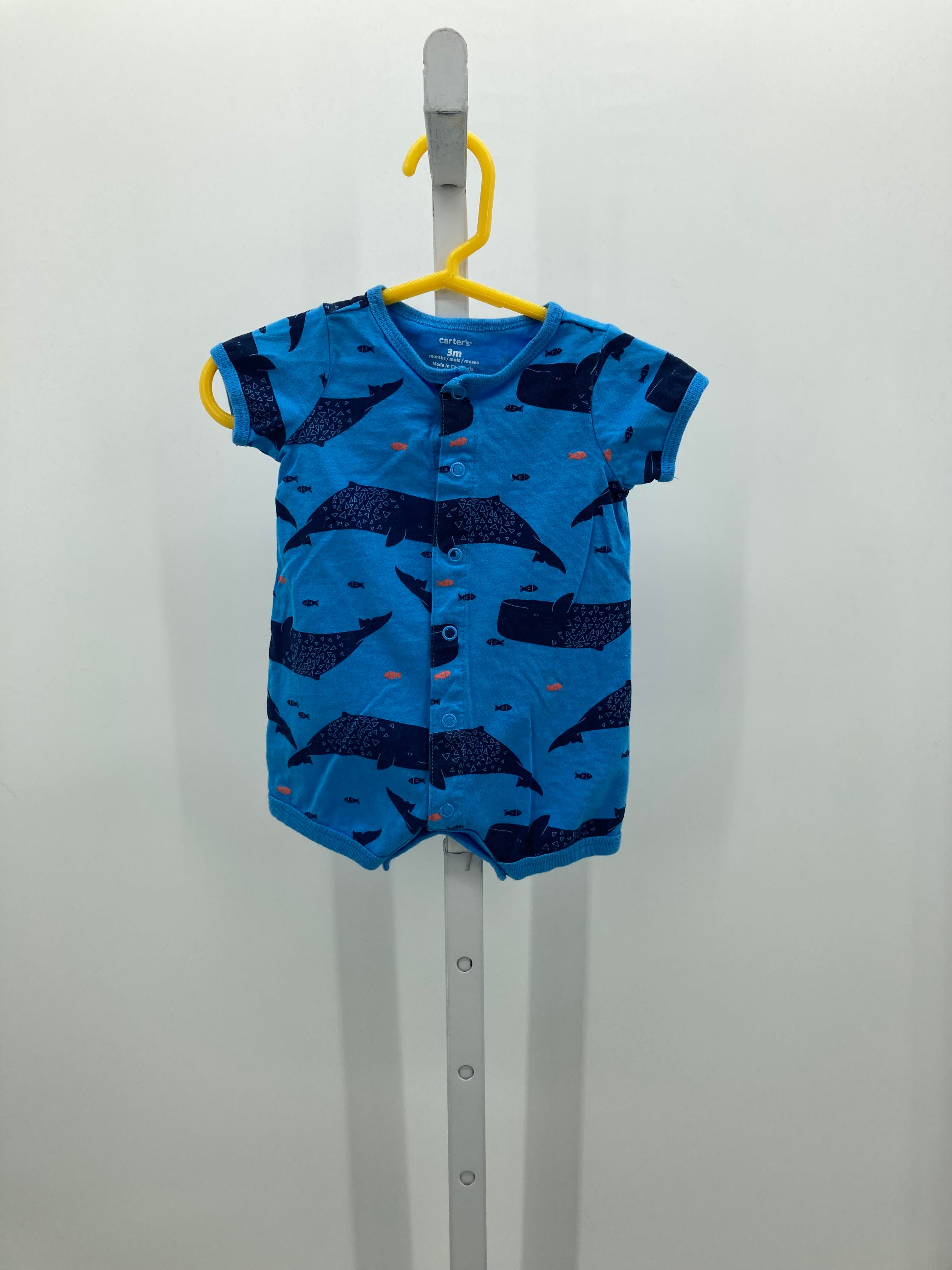 WHALES FISH KNIT