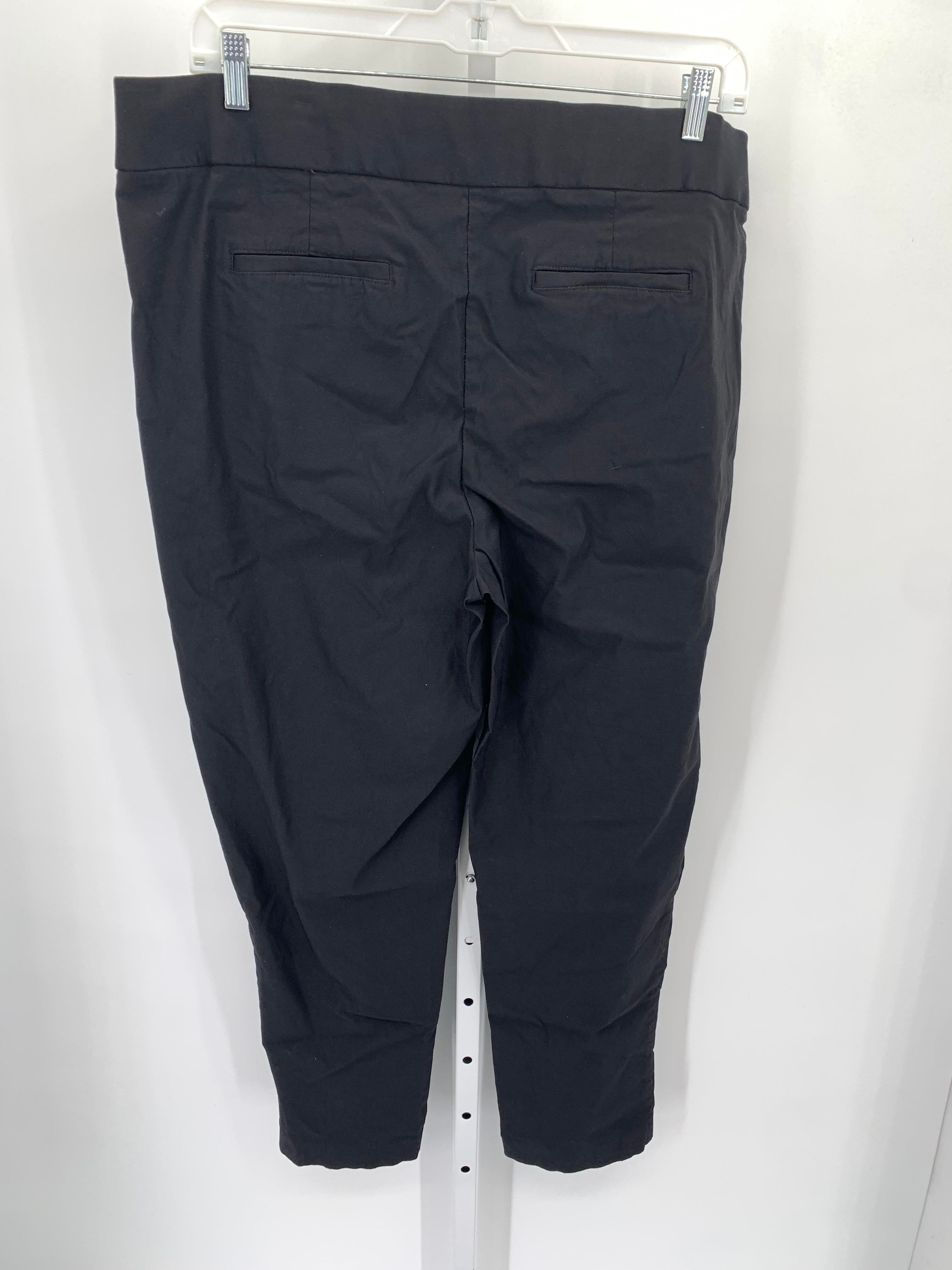 Size 22W Womens Pants