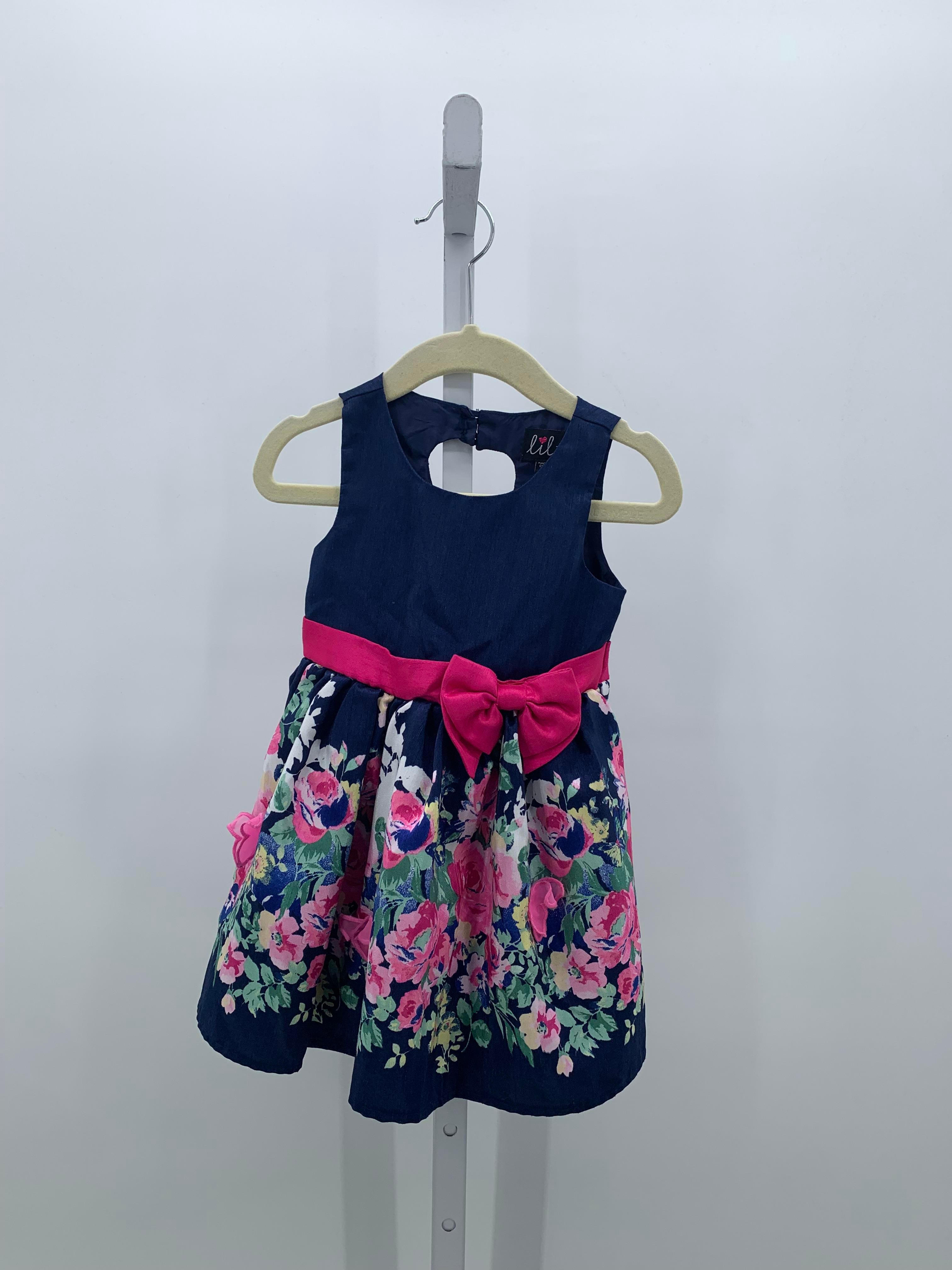 Size 2T Girls Sleeveless Dress