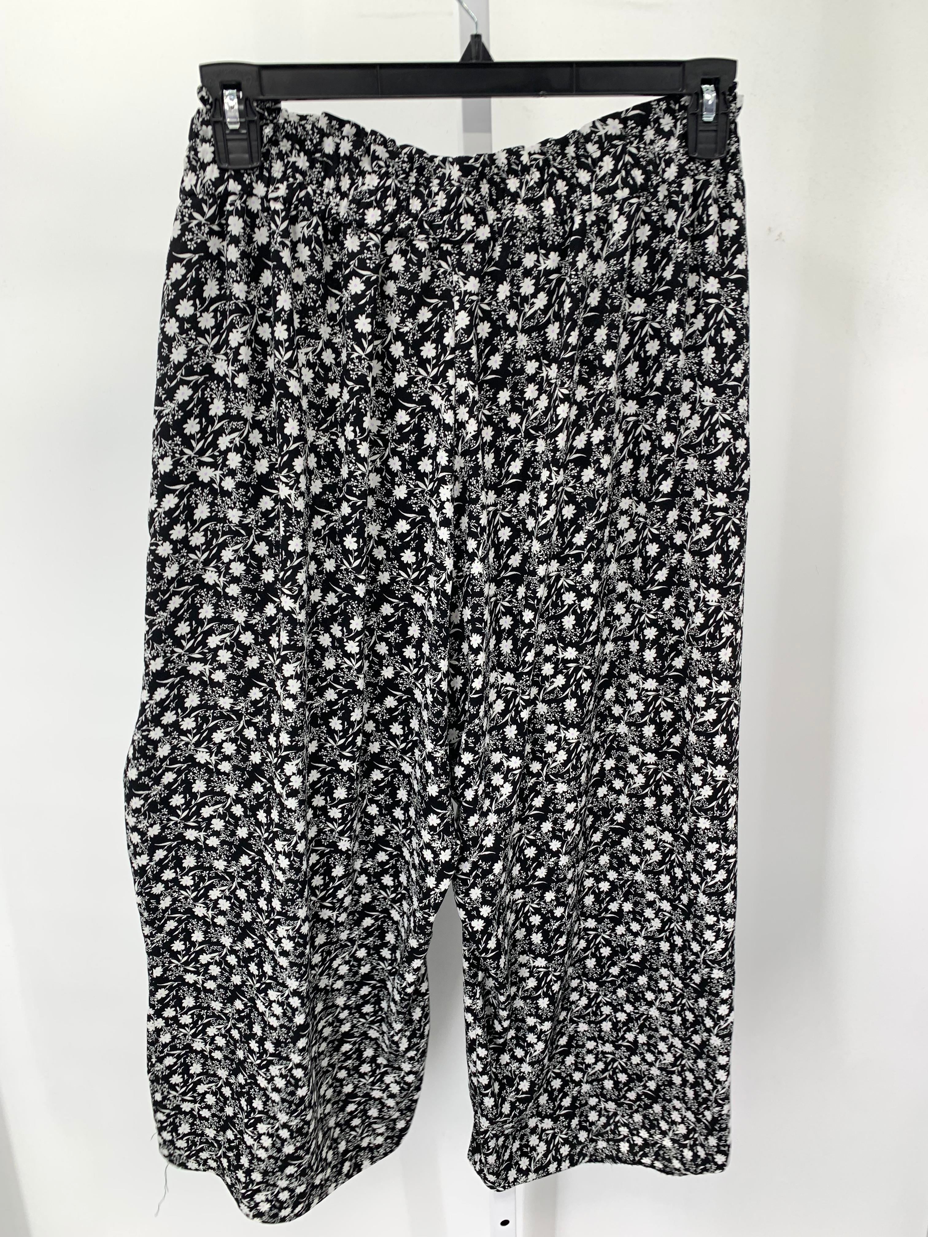 Lauren Conrad Size XXL Misses Pants