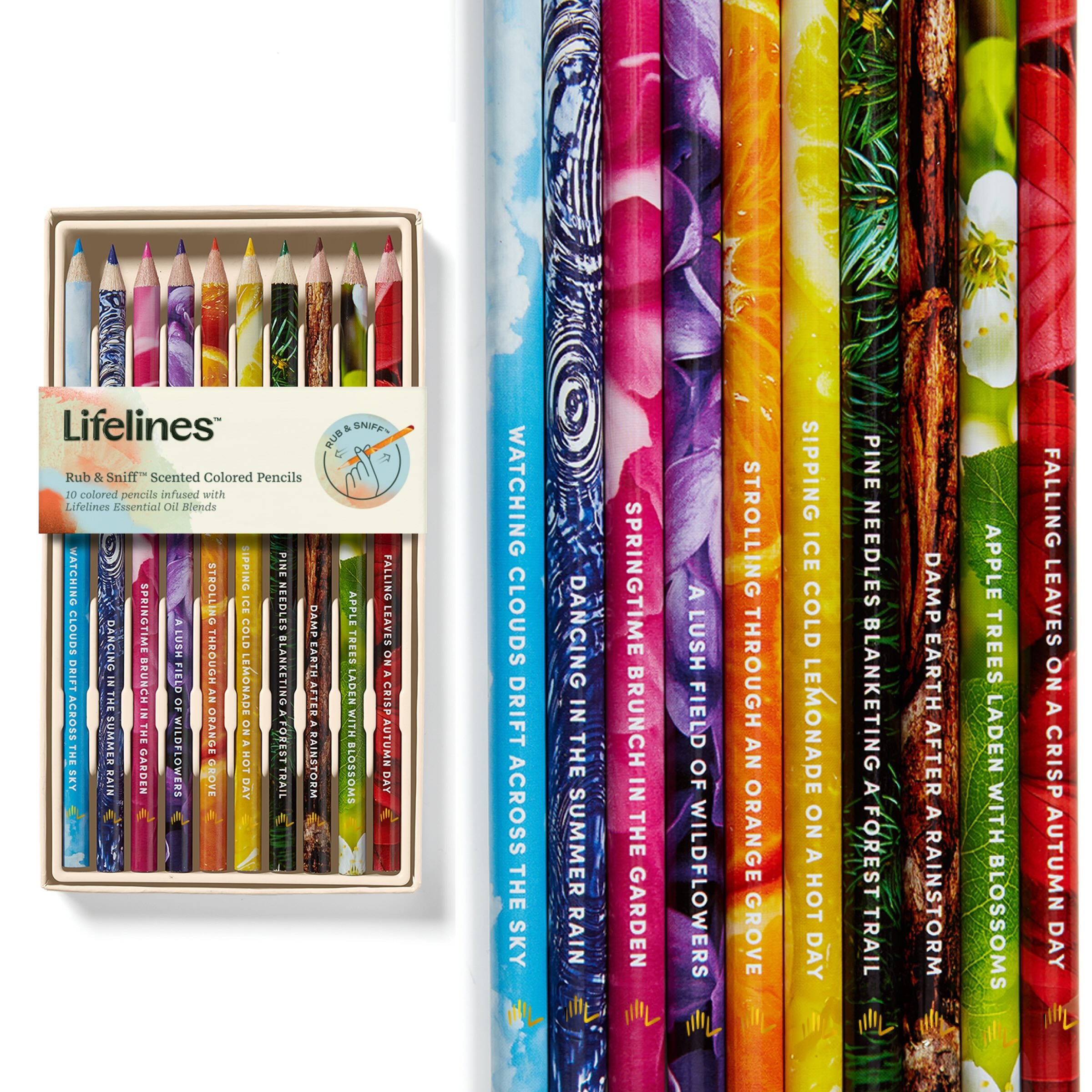 Lifelines Rub & Sniff Scented Colored Pencils (10pk - New)