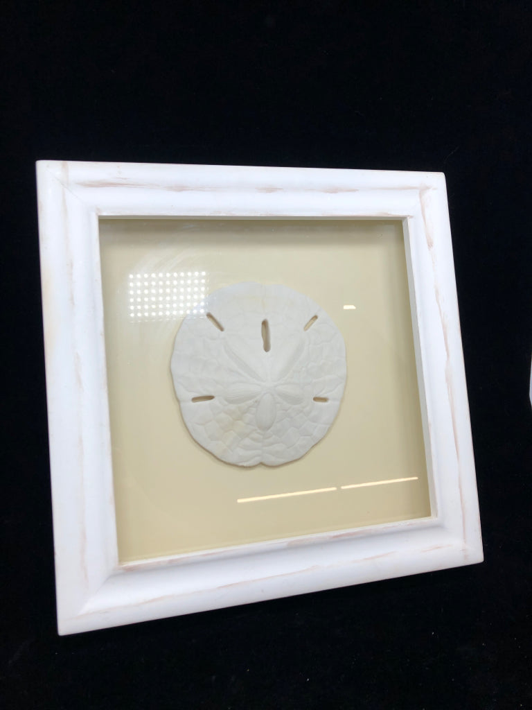 SAND DOLLAR IN SHADOW BOX WALL-HANGING.