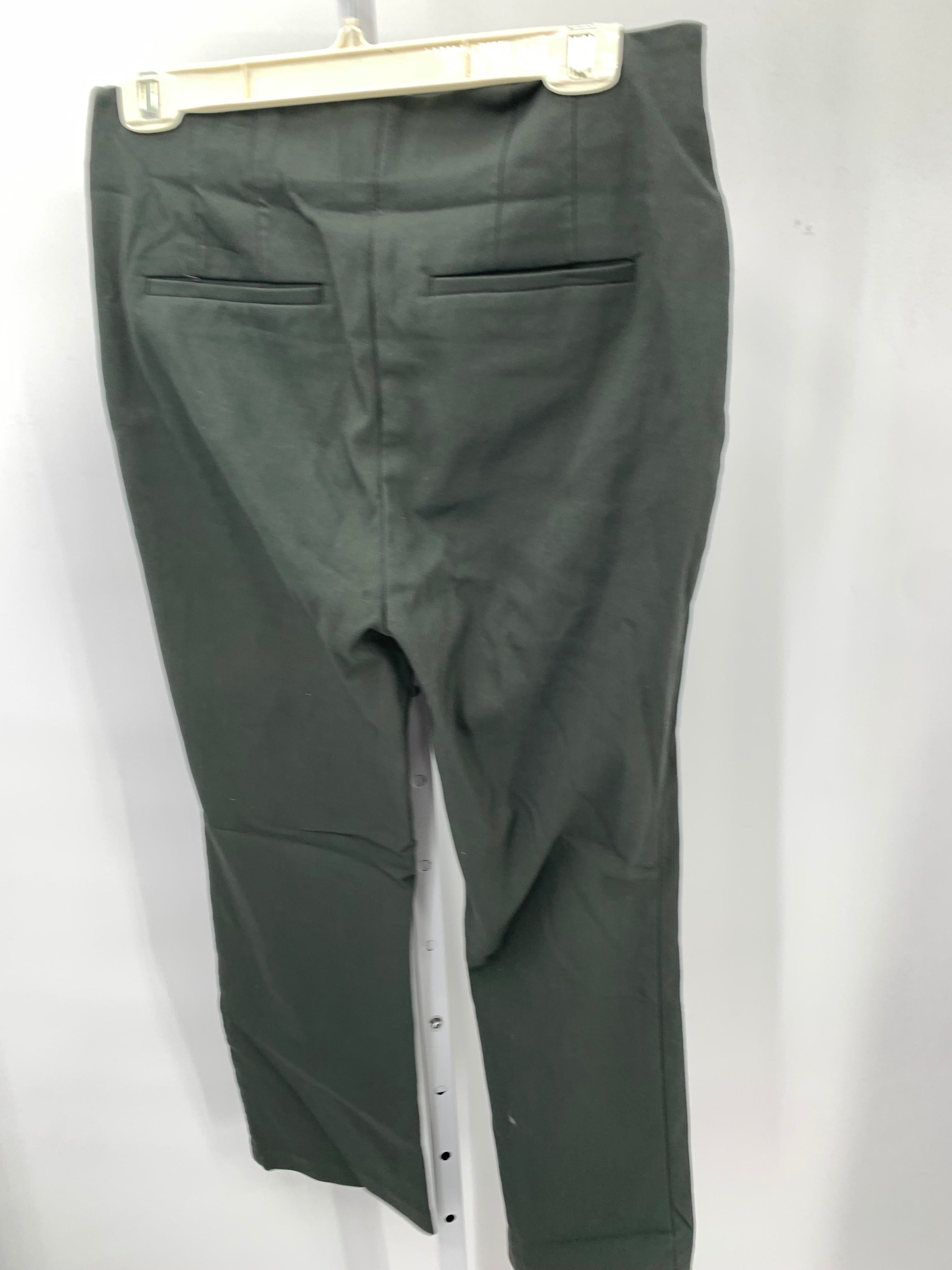 Loft Size 10 Misses Pants